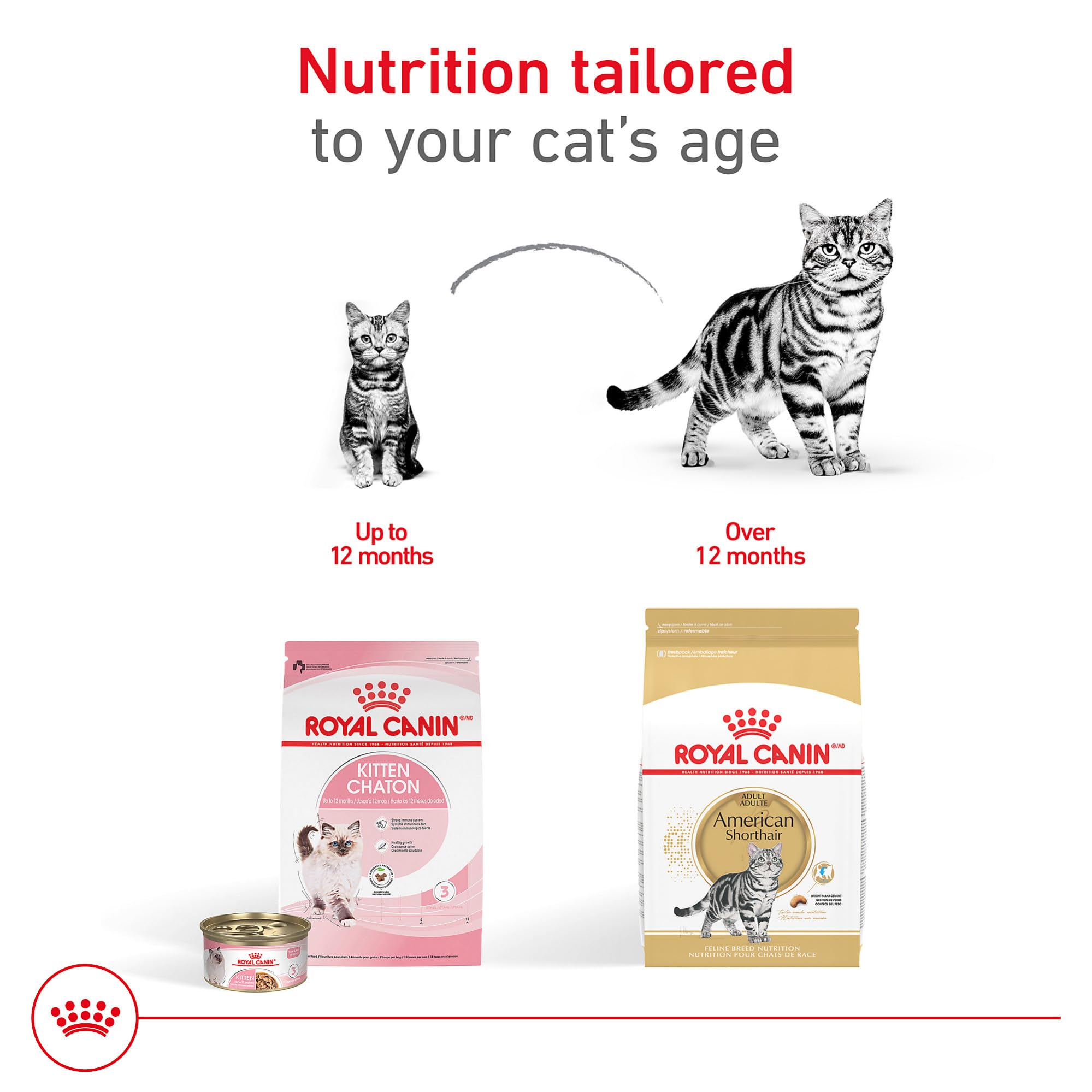 Royal Canin Feline Breed Nutrition American Shorthair Adult Dry Cat Food, 5.5 lb Bag
