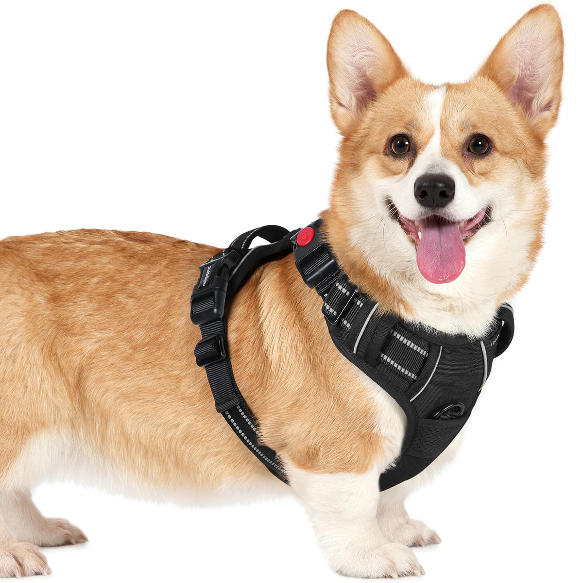 Rabbitgoo Dog Harness Small Sized, No Pull Pet Harness With 3 Buckles, Adjustable Soft Padded Pooch Vest With Instant Control Handle, Easy Walking Reflective Pet Vest For Small Dogs, Black, S