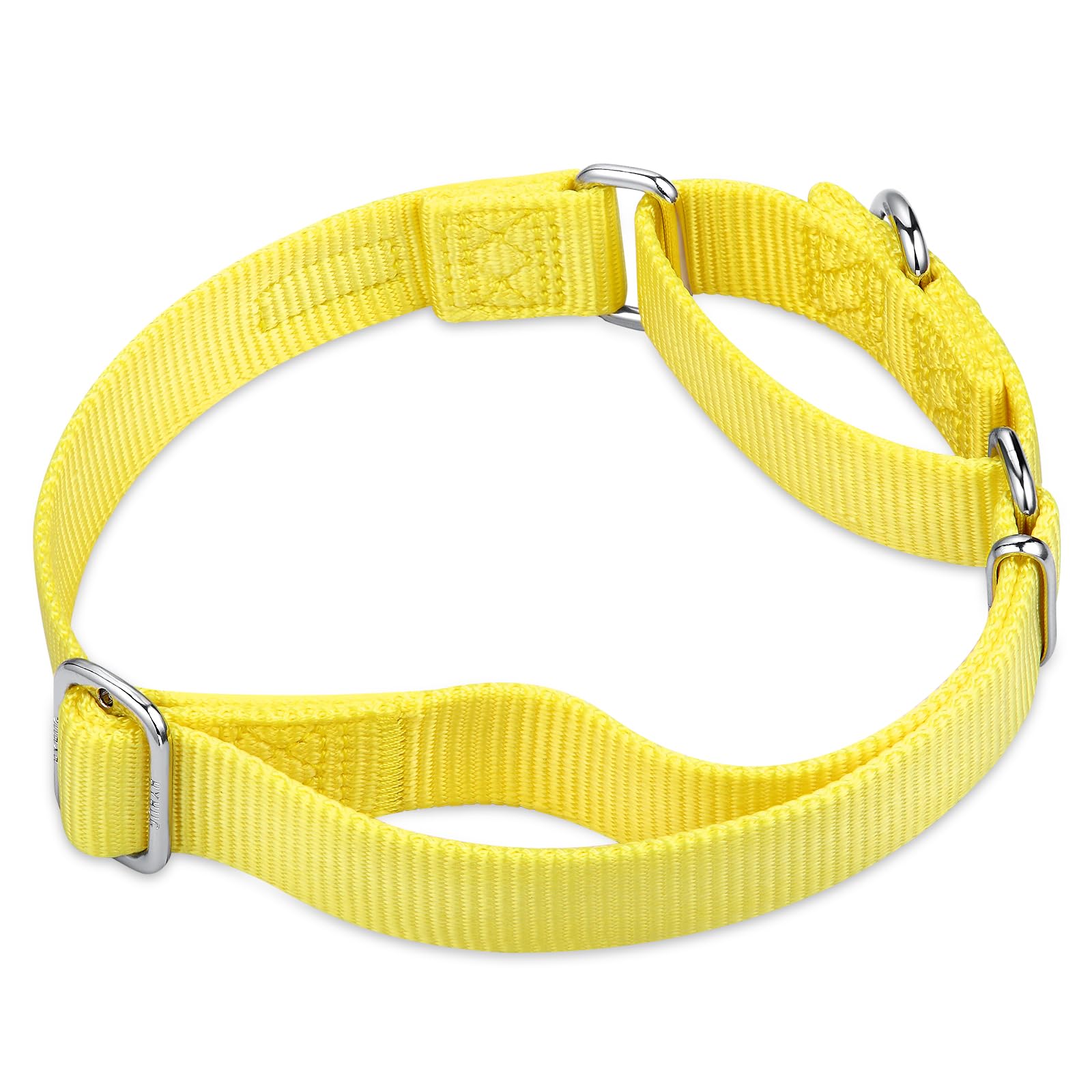 Hyhug Pets Premium Upgraded Heavy Duty Nylon Anti-Escape Medium Martingale Collar for Boy and Girl Dogs Comfy and Safe - Profess