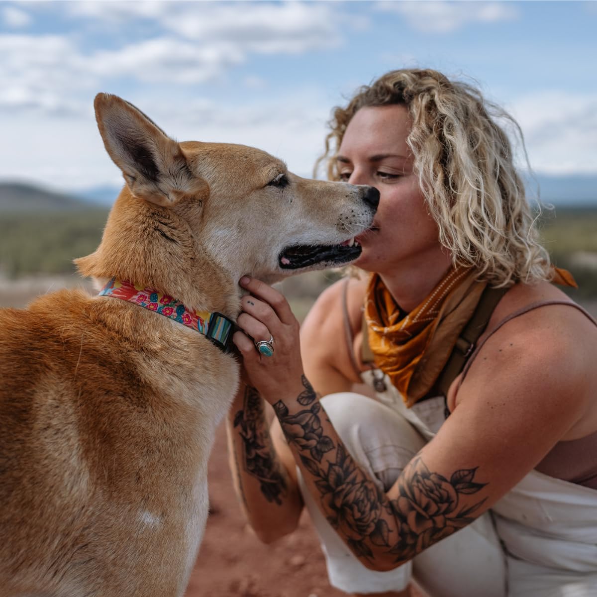 Wolfgang Heavy Duty Martingale Dog Collar With Quick Release Nylon Buckle For Walking & Training, Packleader Print, Small