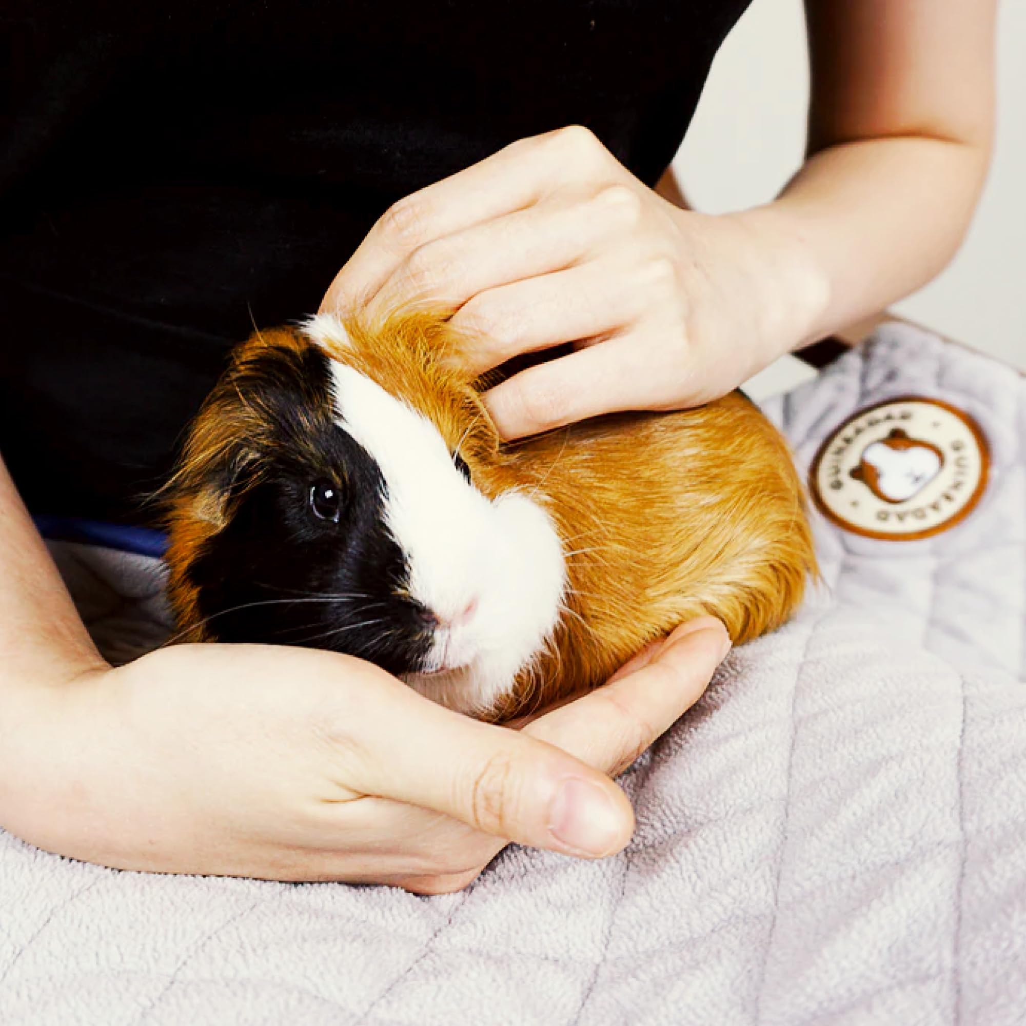 Guineadad Original Liner - Grey Fleece Guinea Pig Bedding - Reusable Guinea Pig Cage Liner - Extra Absorbent Guinea Pig Bed With Waterproof Bottom - Small Pet Supplies - 2X1 C&C