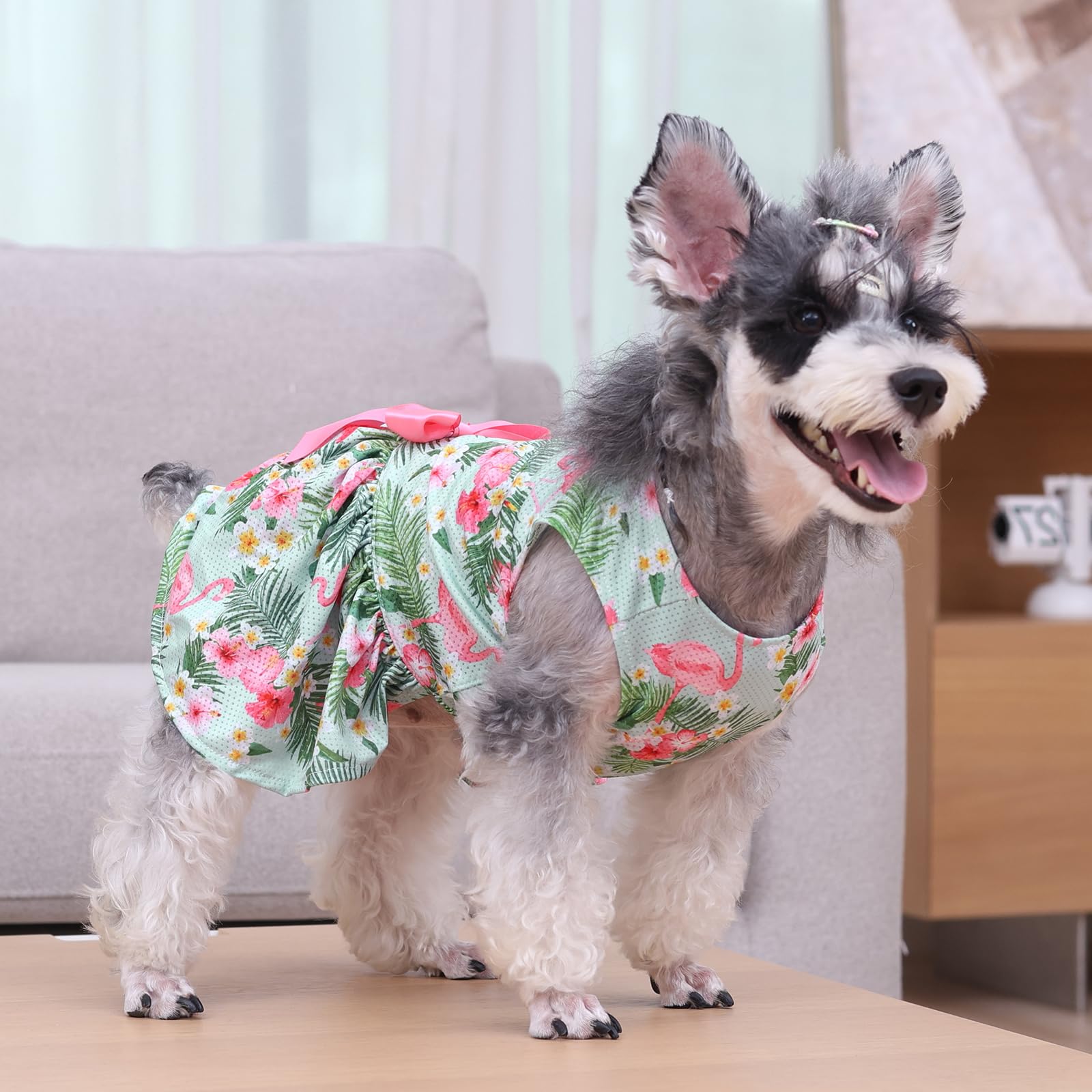Cutebone Dog Mesh Dress Puppy Sundress Pet Outfit Summer Fashion For Small Dogs Girl Cat Clothes Bf34S
