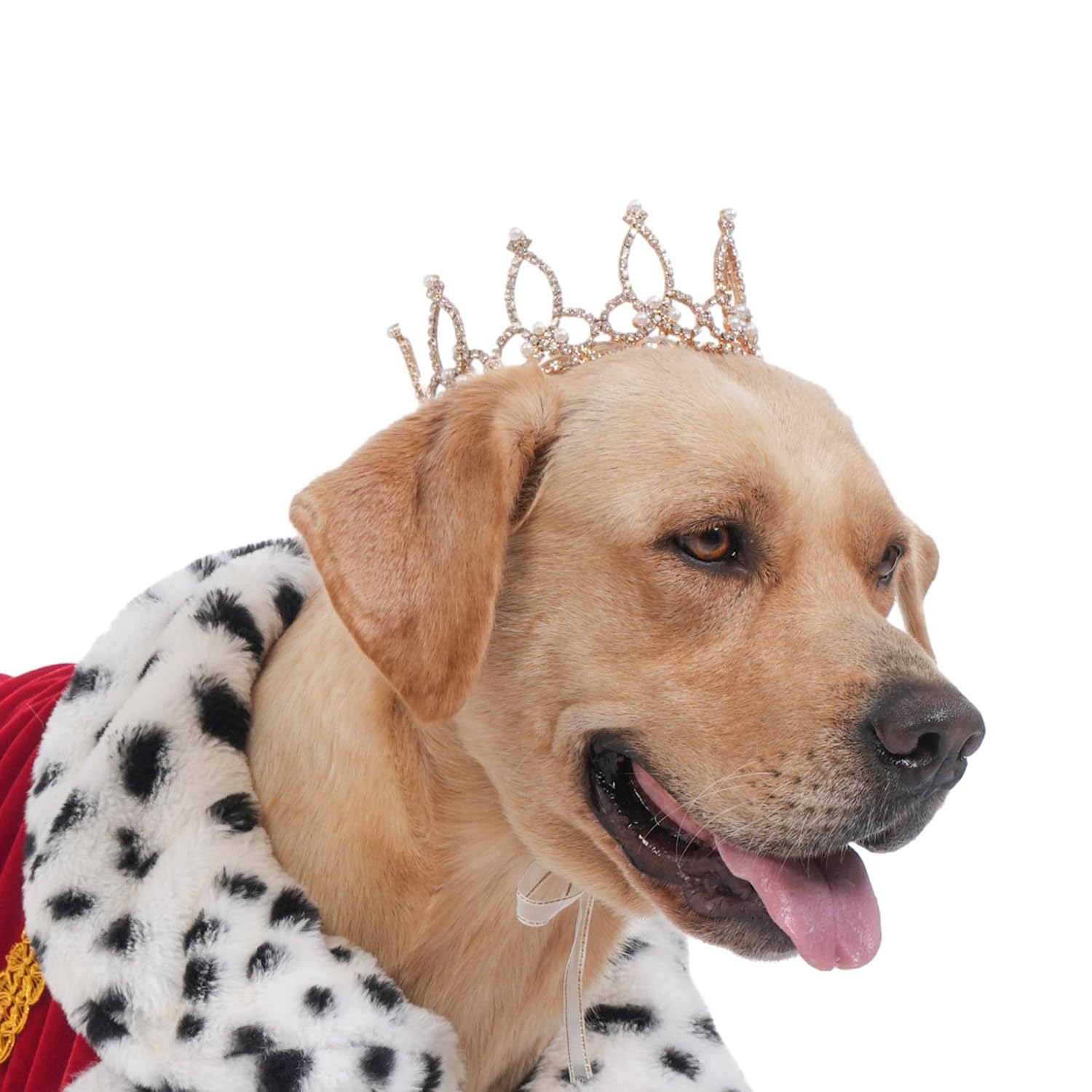 Lovelyshop Pet Series Gold Plated Royal Rhinestone Pearl Full Round Dog/Cat Crown For Rolyal Family Costume Hair Accessories-Xla