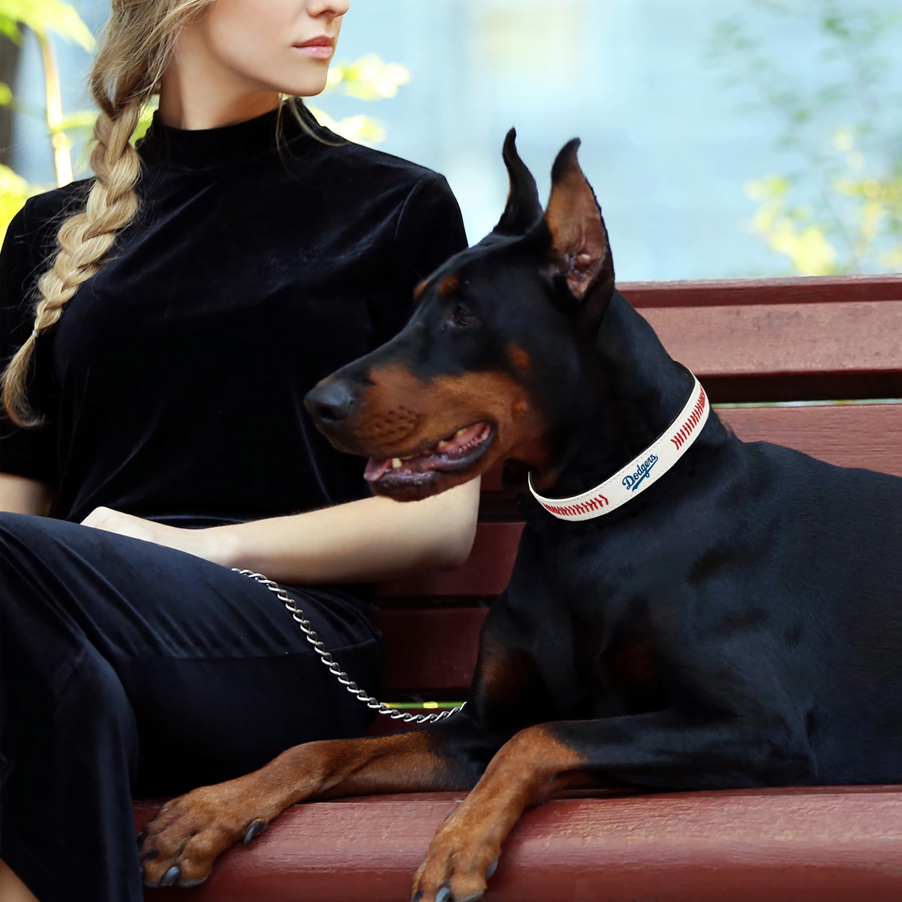 MLB Dog Collar Los Angeles Dodgers New Signature PRO PVC-Leather Premium Pet Collars Extra Tough & Durable! Super Stylish! Size: