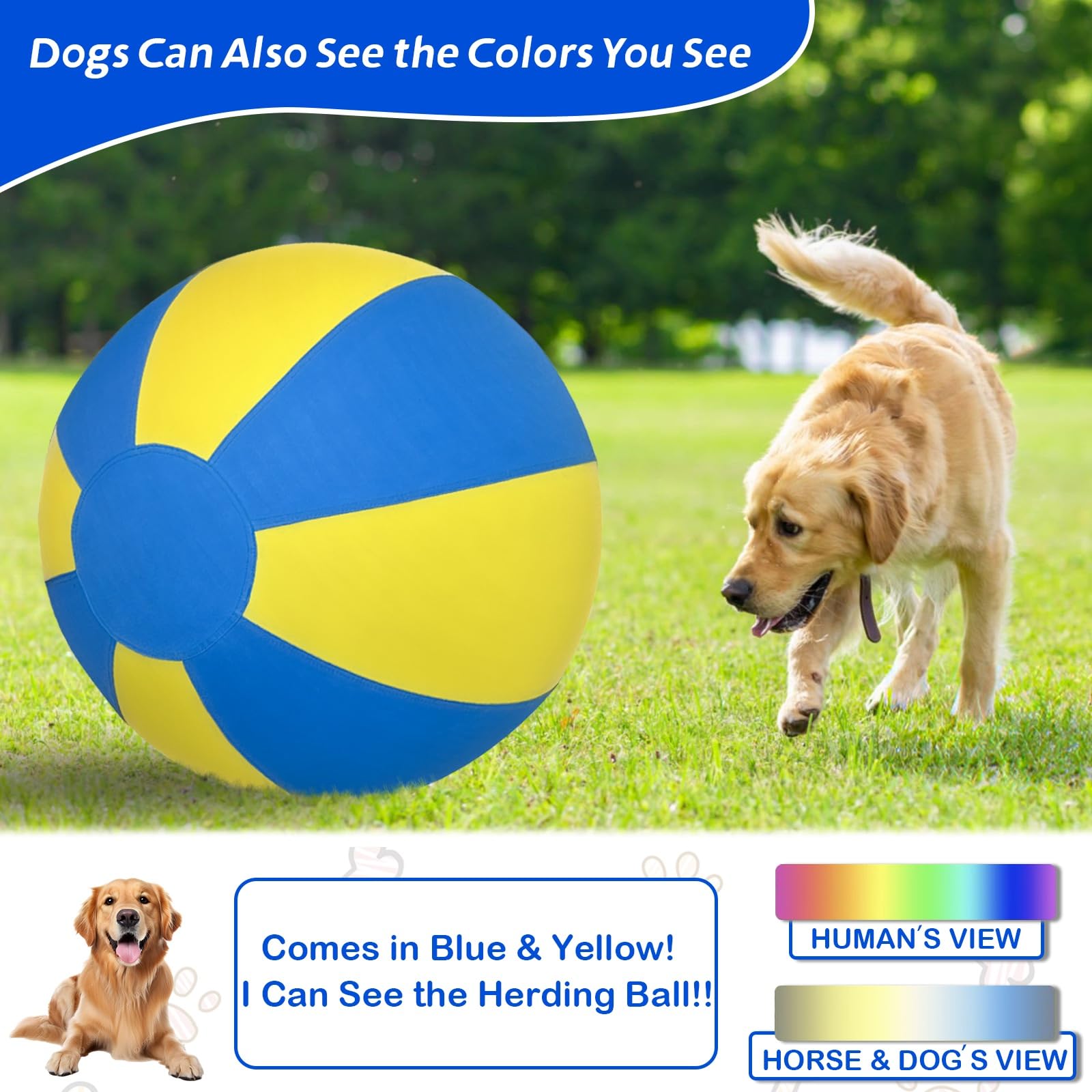 Herding Ball For Dogs, Dual Layered Set For Australian Shepherd, Cattle, Collie, Agility Equipment-Free Training Book (Blue & Ye