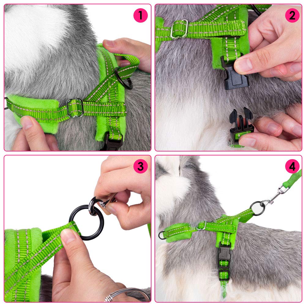 Slowton No Pull Small Dog Harness And Leash Set, Puppy Soft Vest Harness Neck & Chest Adjustable, Reflective Lightweight Harness & Anti-Twist Pet Lead Combo For Small Medium Dogs (G-Front Clip,Xxs)