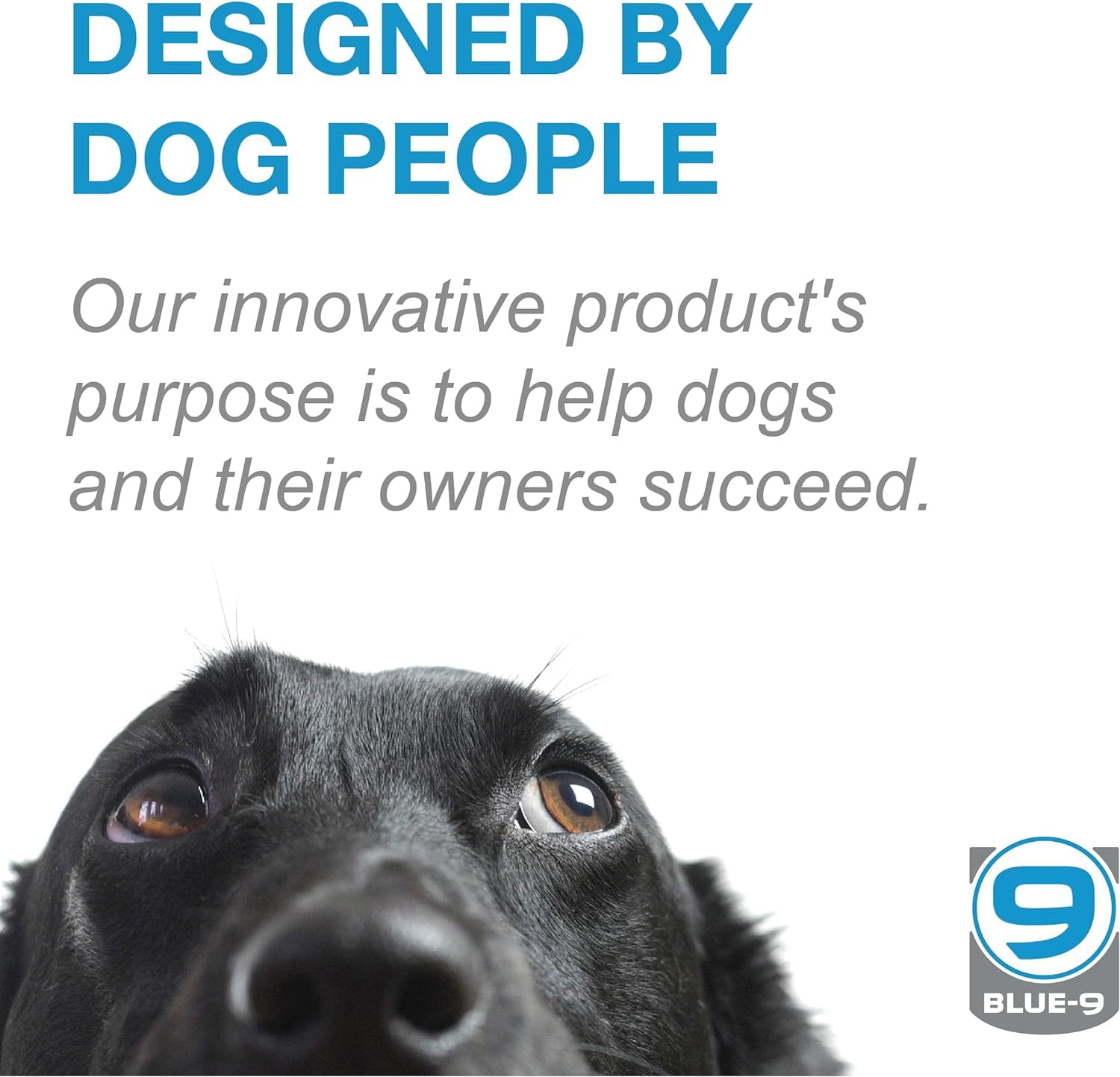 Blue-9 Buckle-Neck Balance Harness, Fully Customizable Fit No-Pull Harness, Ideal For Dog Training And Obedience, Made In The Usa, Hot Pink, Medium/Large