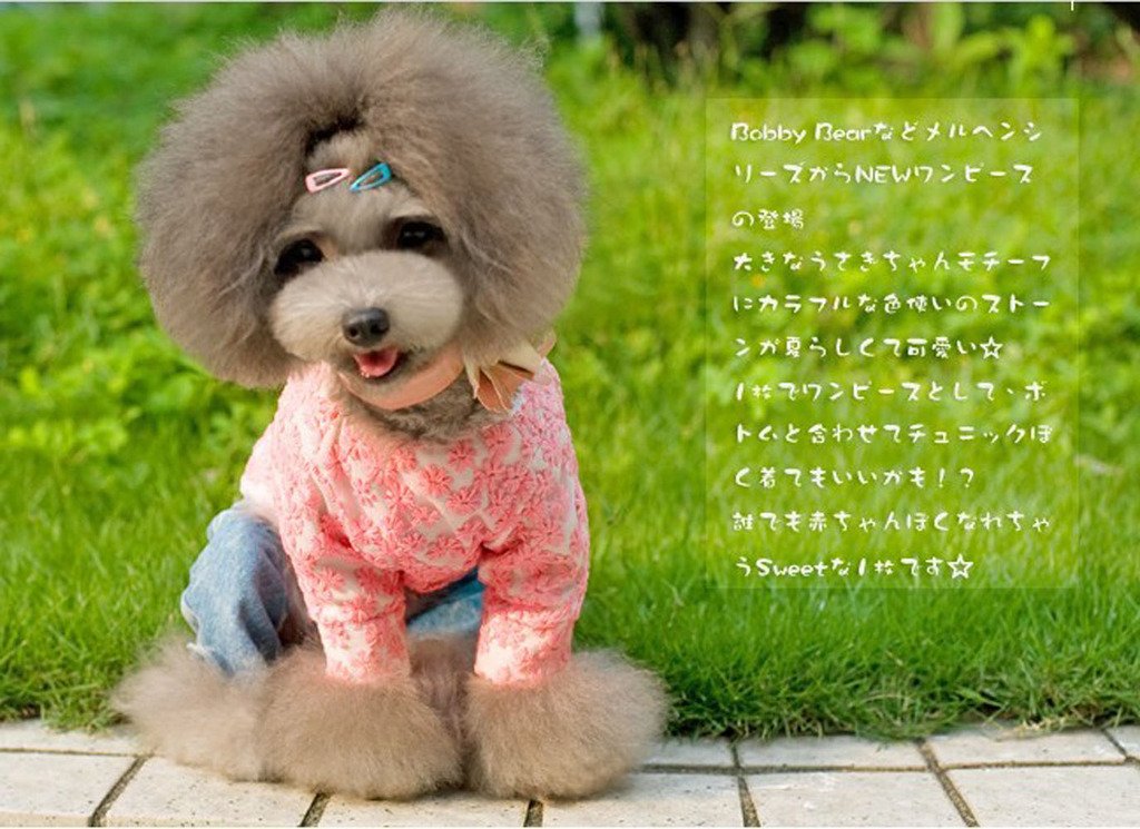 Pet Show Cute 0.9' Waterdrop Small Snap Hair Clips Pet Grooming Products Dog Cat Puppy Short Hair Accessories Random Color Pack Of 20