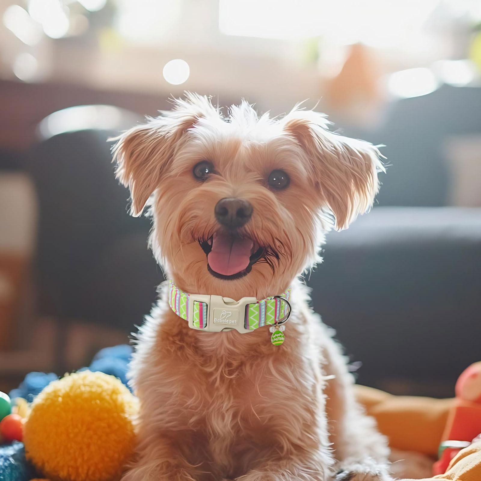 Babole Pet Easter Dog Collar for Medium Dogs - Design Cute Easter Egg Stripe Dog Collars Boy Girl Puppy Adjustable Quick Release