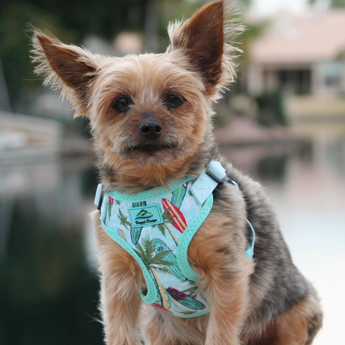 DOGGIE DESIGN Wrap and Snap Choke Free Dog Harness (Surfboards and Palms, S)