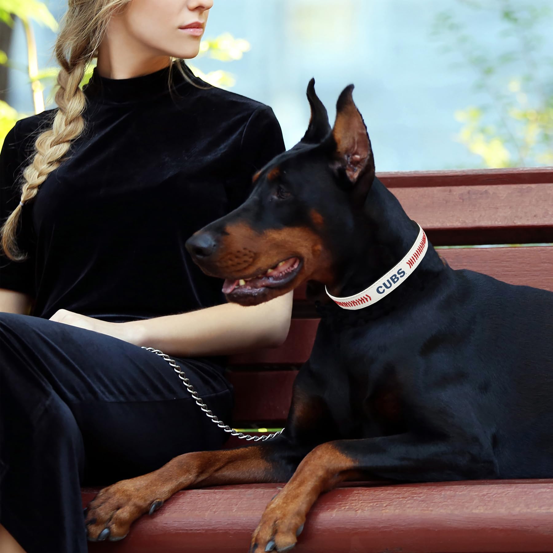 Mlb Dog Collar Chicago Cubs New Signature Pro Pvc-Leather Premium Pet Collars Extra Tough & Durable! Super Stylish! Size: Medium