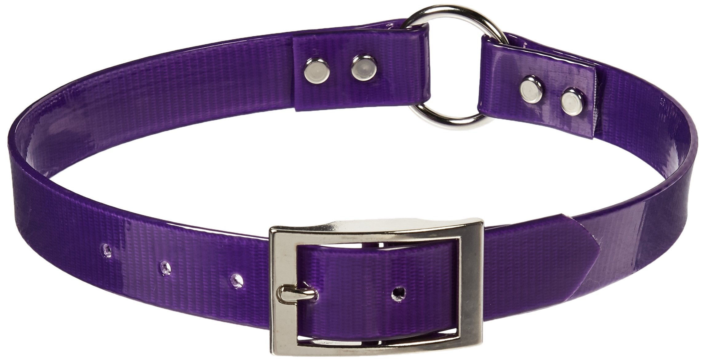 Omnipet Sunglo Ring-In-Center Dog Collar, 1' Wide, Purple, Fits 20.5'- 24' Neck Sizes, Vibrant Colors & Tough Construction Fo
