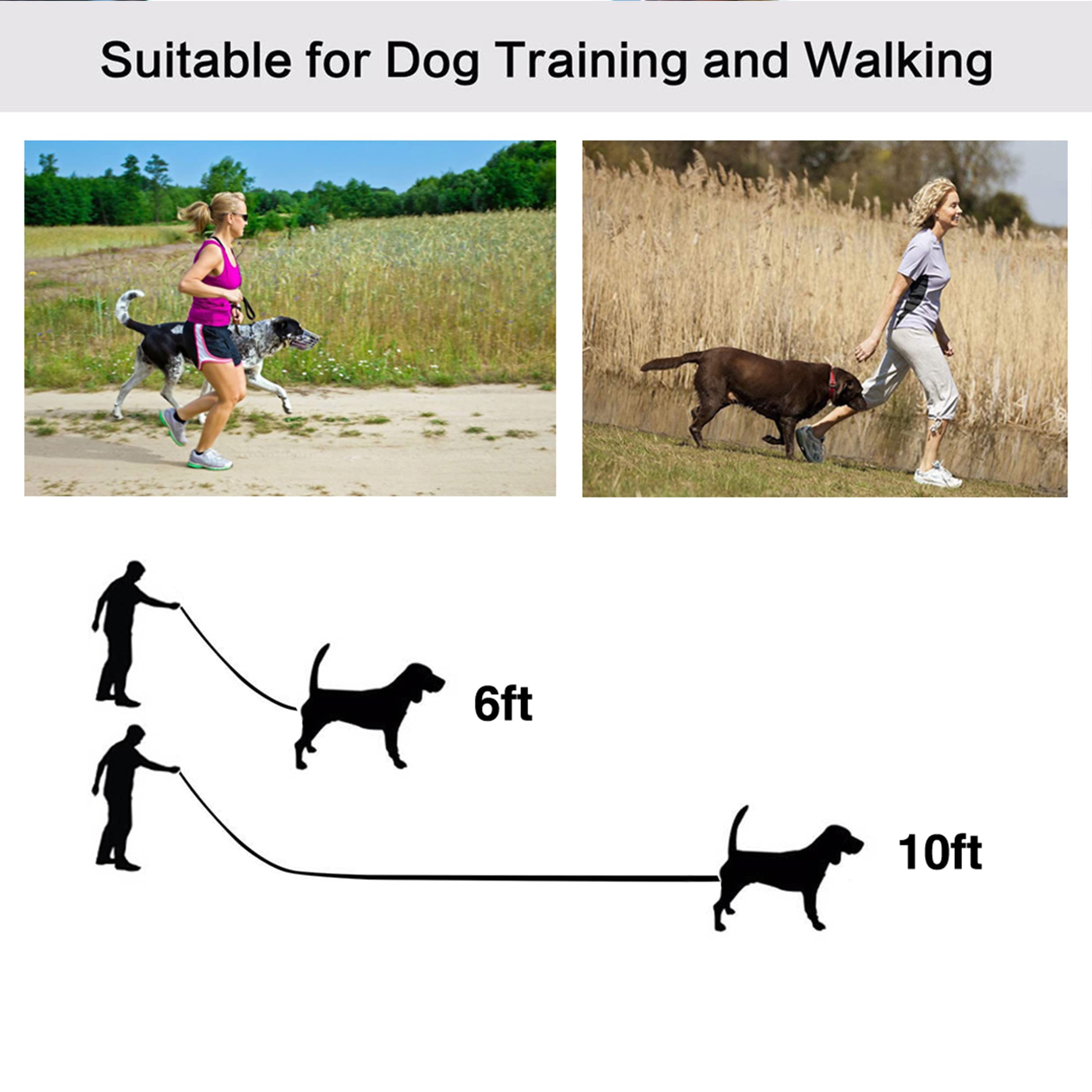 Jeckpat 10Ft Mint Blue Dog Leashes Long Line Training Leash,For Large,Medium And Small Dogs,Long Puppy Lead,For Training,Backyar