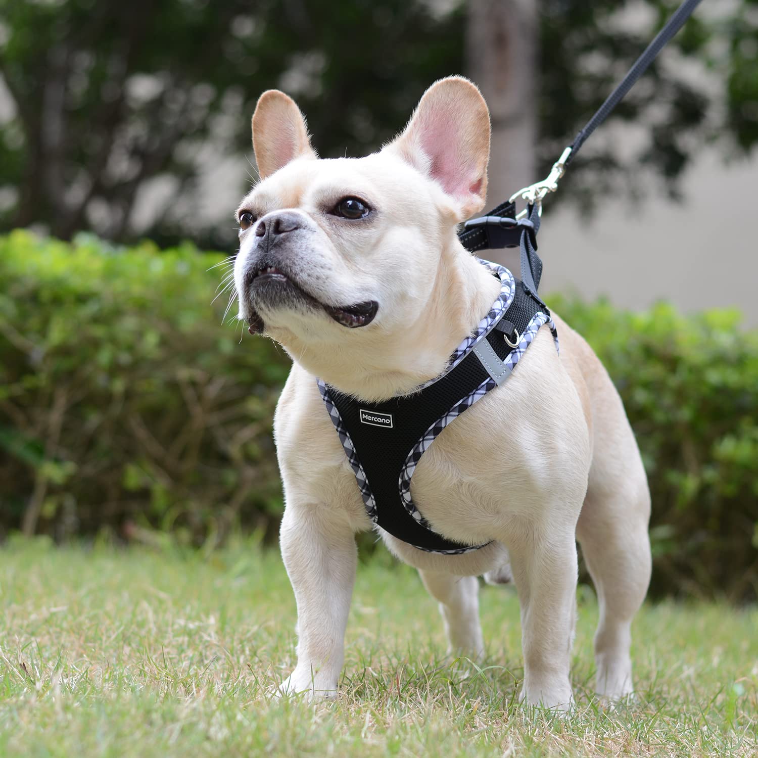 Mercano Soft Mesh Dog Harness & Leash Set, Reflective, Lightweight, Medium, Black White, Model MC001