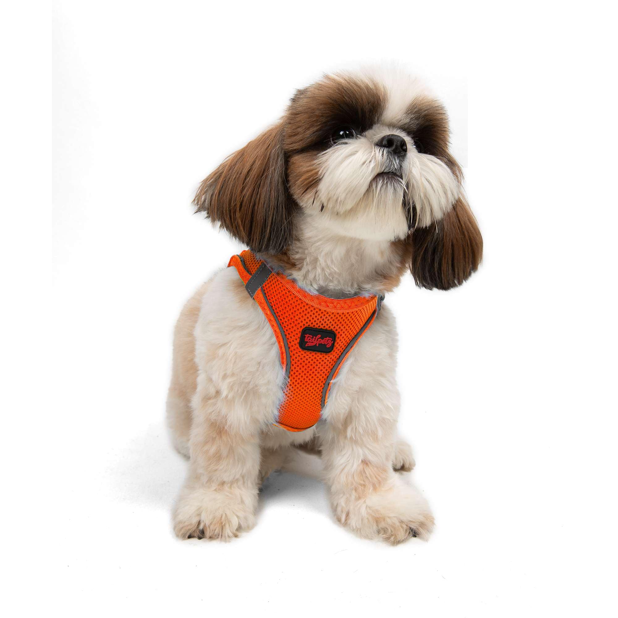 Tailpetz Orange Dog Harness Small Sized Dogs, Adjustable No Pull Step in Harness for Small Dog, Reflective Puppy Harness for Pup