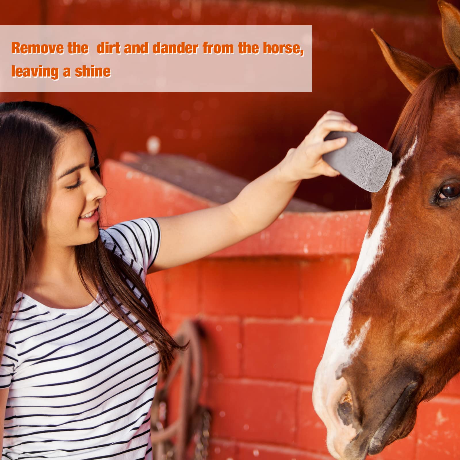 2 Pieces Pet Hair Remover For Cat Hair Removal Pumice Stone Tool Carpet Dog Fur Removal Tool For Car Couch Furniture Bedding Easy To Clean (4 Inches)