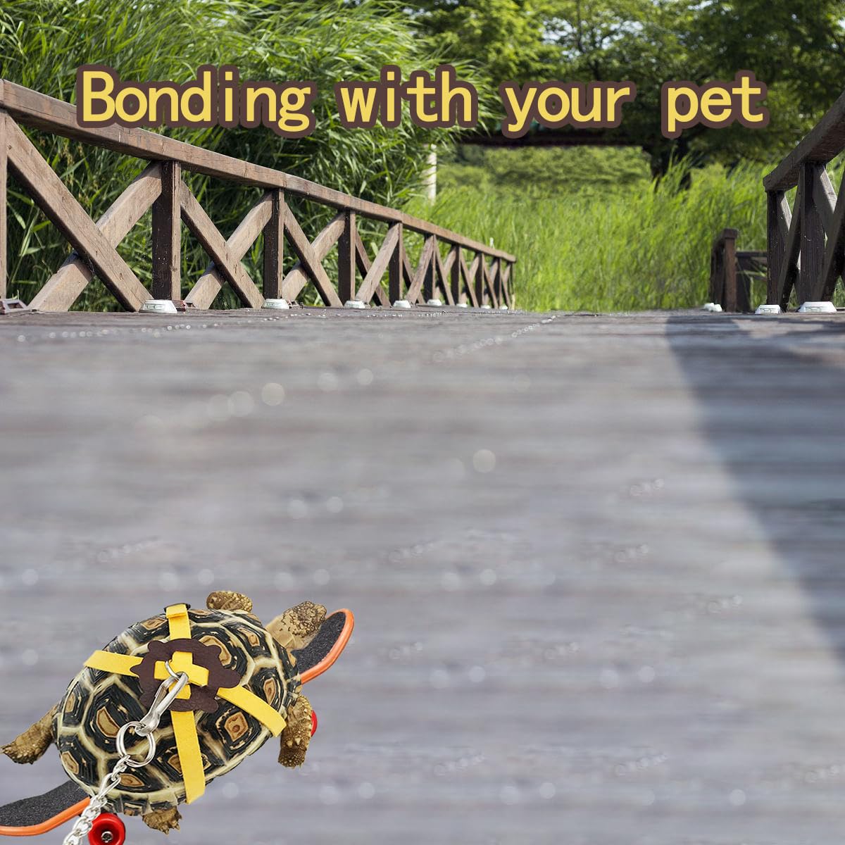 Turtles Playing And Training Toys Set, 1 Adjustable Tortoise Leash 2 Reptile Skateboards 2 Treat Ball, Turtle Fast Skate Accesso