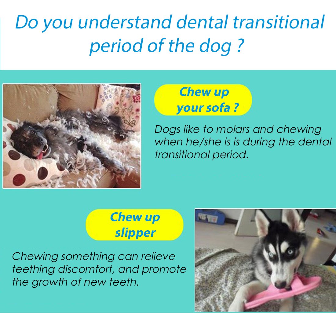 Fineinno 2Pcs Light Up Dog Balls,Led Dog Ball,Glow In The Dark Dog Ball,Flashing Elastic Ball Pet Toys For Puppy, Cats, Dogs