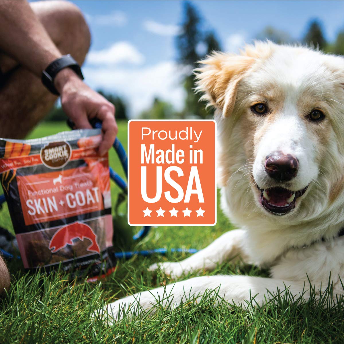 Smart Cookie All Natural Dog Treats - Healthy Skin & Coat Salmon Dog Treats - Ideal for Sensitive Stomachs or Itchy, Allergic, D