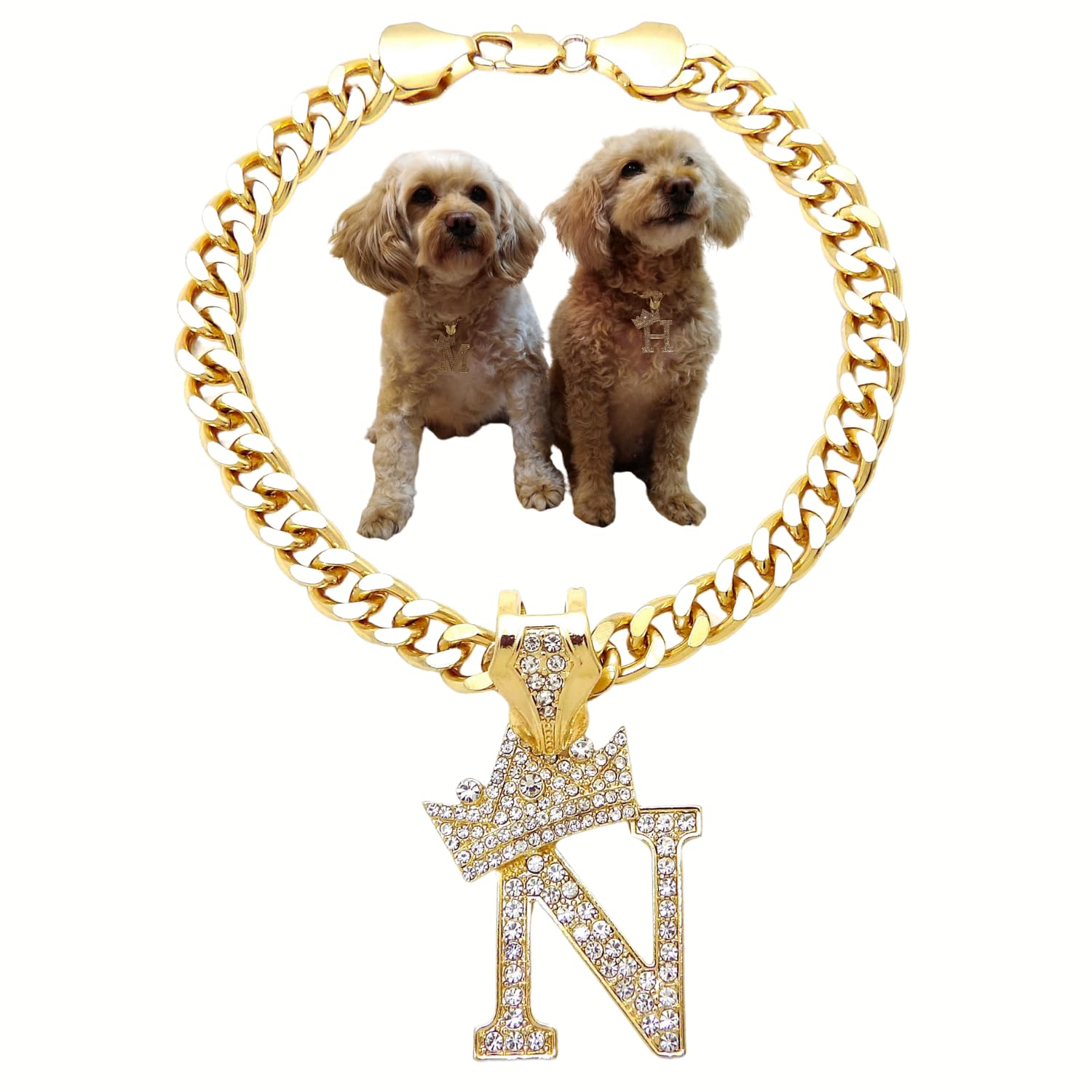 Initial Letter Cuban Chain Dog Chain Pet Chain Pet, Cat, Puppy Necklace (N, 22'')