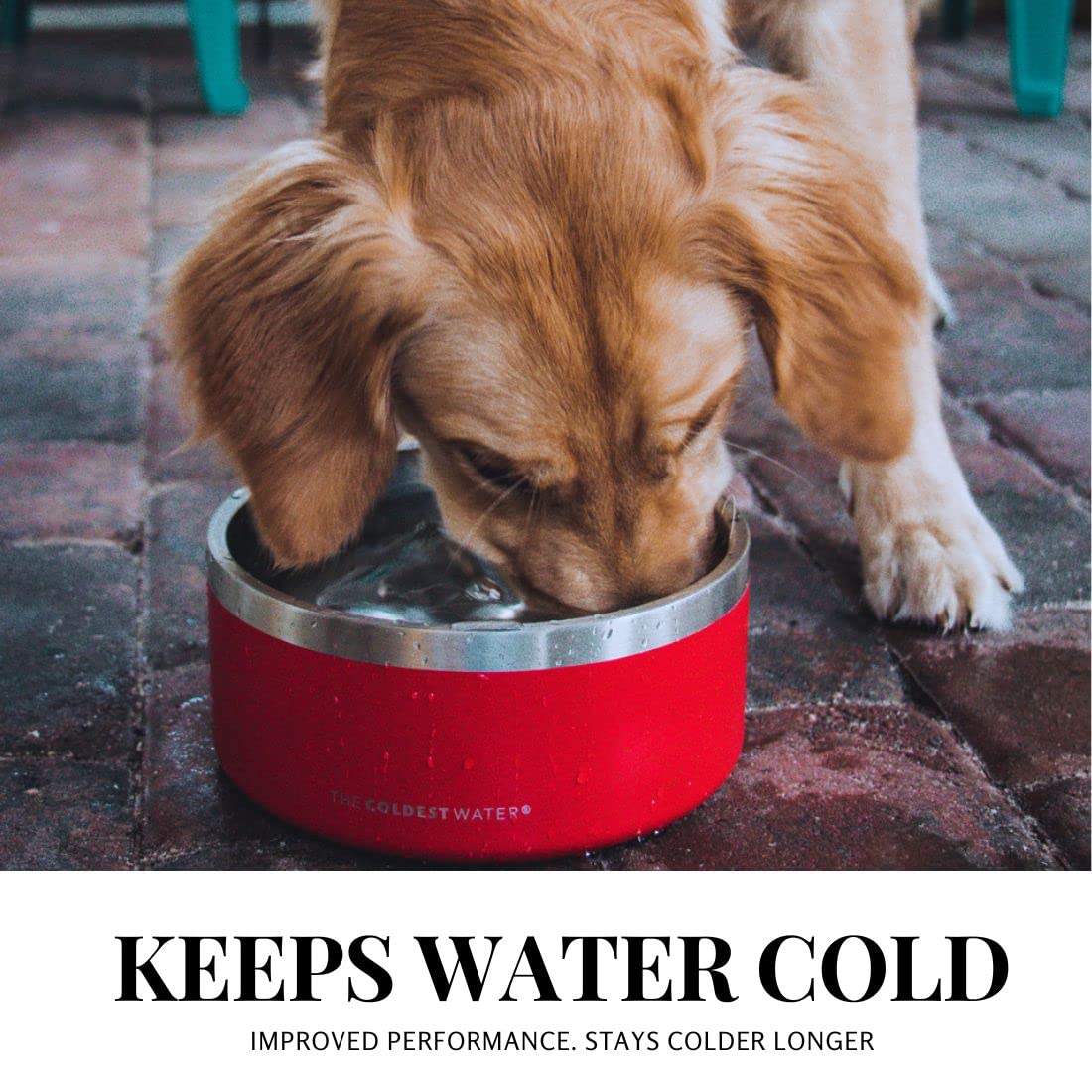 Coldest Dog Bowl - Anti Rust Metal & Non Slip Dog Bowls Large, Spill Proof Heavy Duty 3 Layers Insulated Dog Bowl - Food and Wat