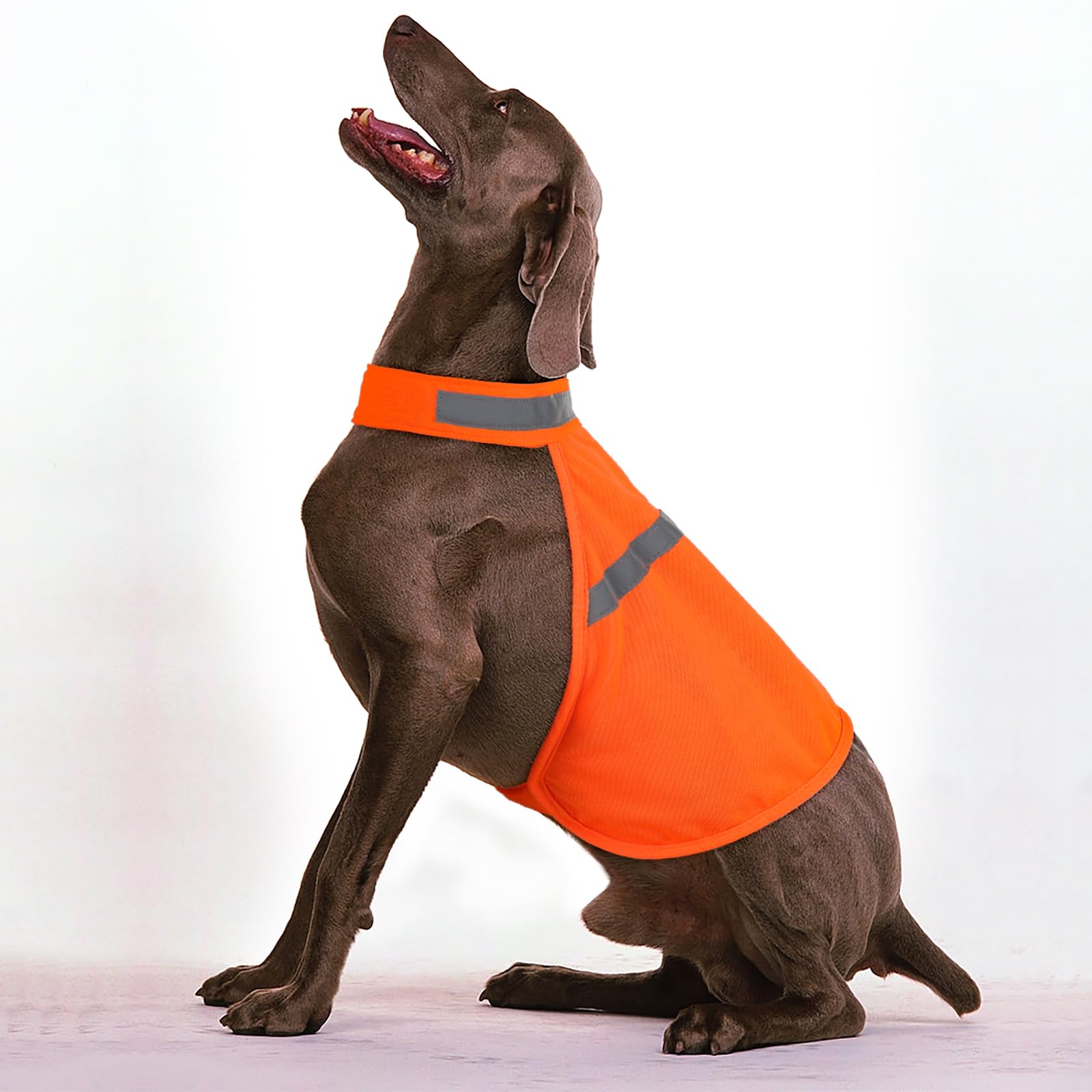 Dog Jacket High Visibility Safety Reflective Dog Vest For Small Medium Large Dogs (X-Large, Orange)