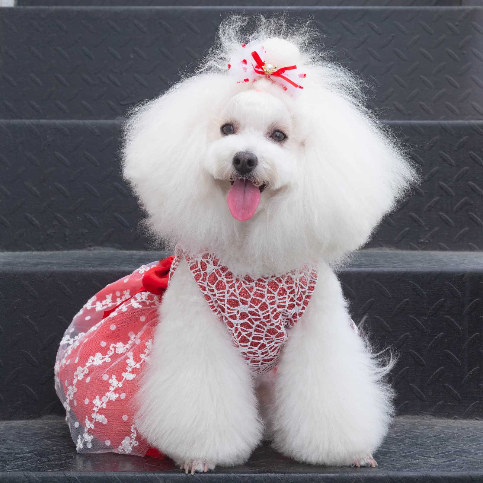 Cutebone Red Dog Dress Outfit Puppy Skirt Shining Embroiderd Tutu With Bowknot Pet Clothes Girl For Wedding Birthday Party Cat Apparel Dd09Xs