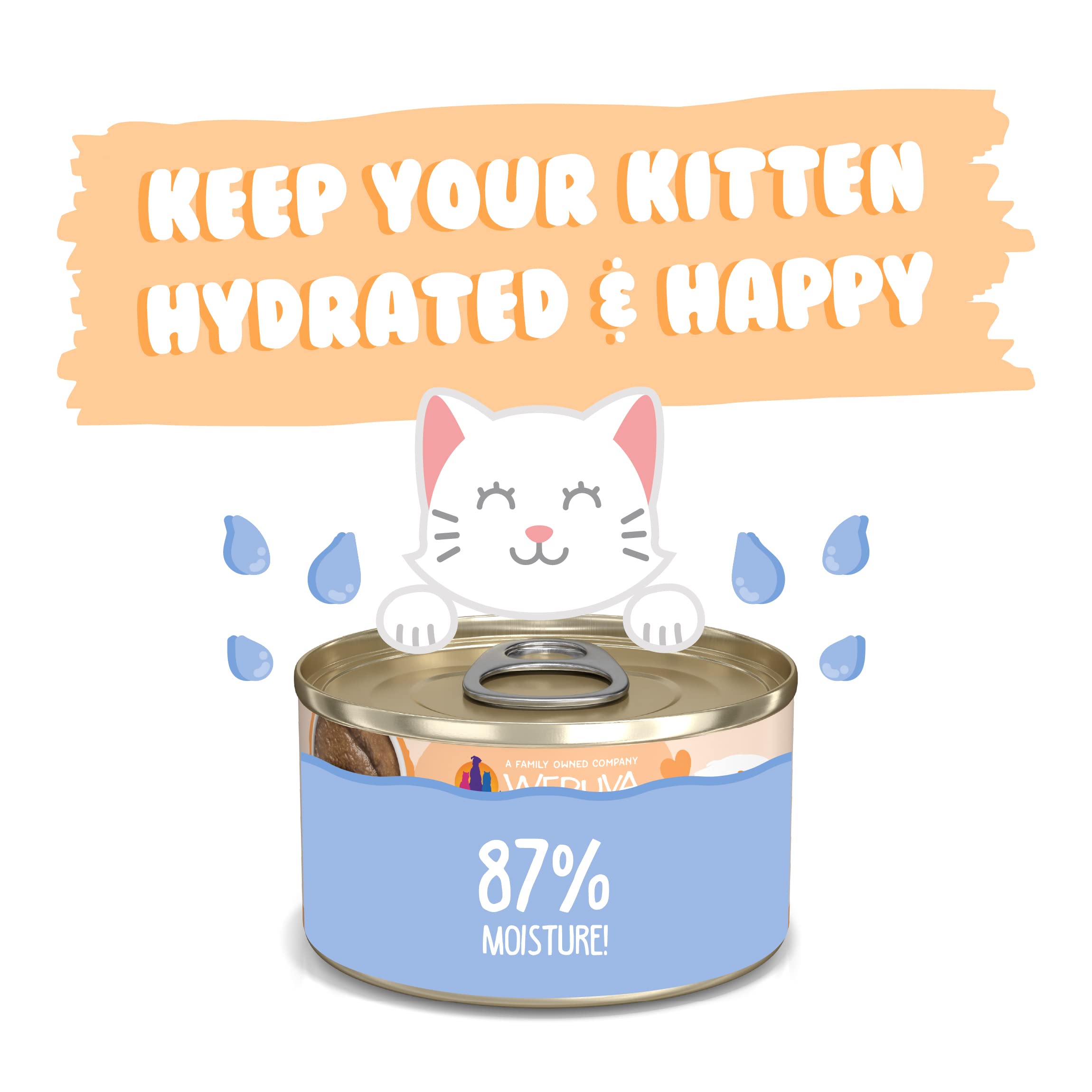 Weruva Kitten, Tuna & Salmon Formula in a Hydrating Pur  e 3oz Can (Pack of 12)