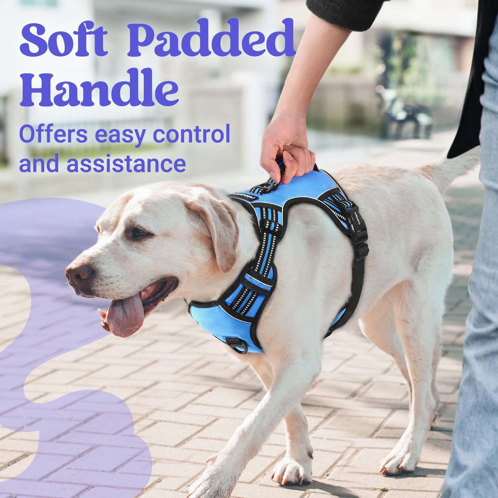 rabbitgoo Dog Harness Small Sized Dog, No Pull Pet Harness with Soft Padded Handle, Adjustable Reflective Vest with 3 Buckles, E