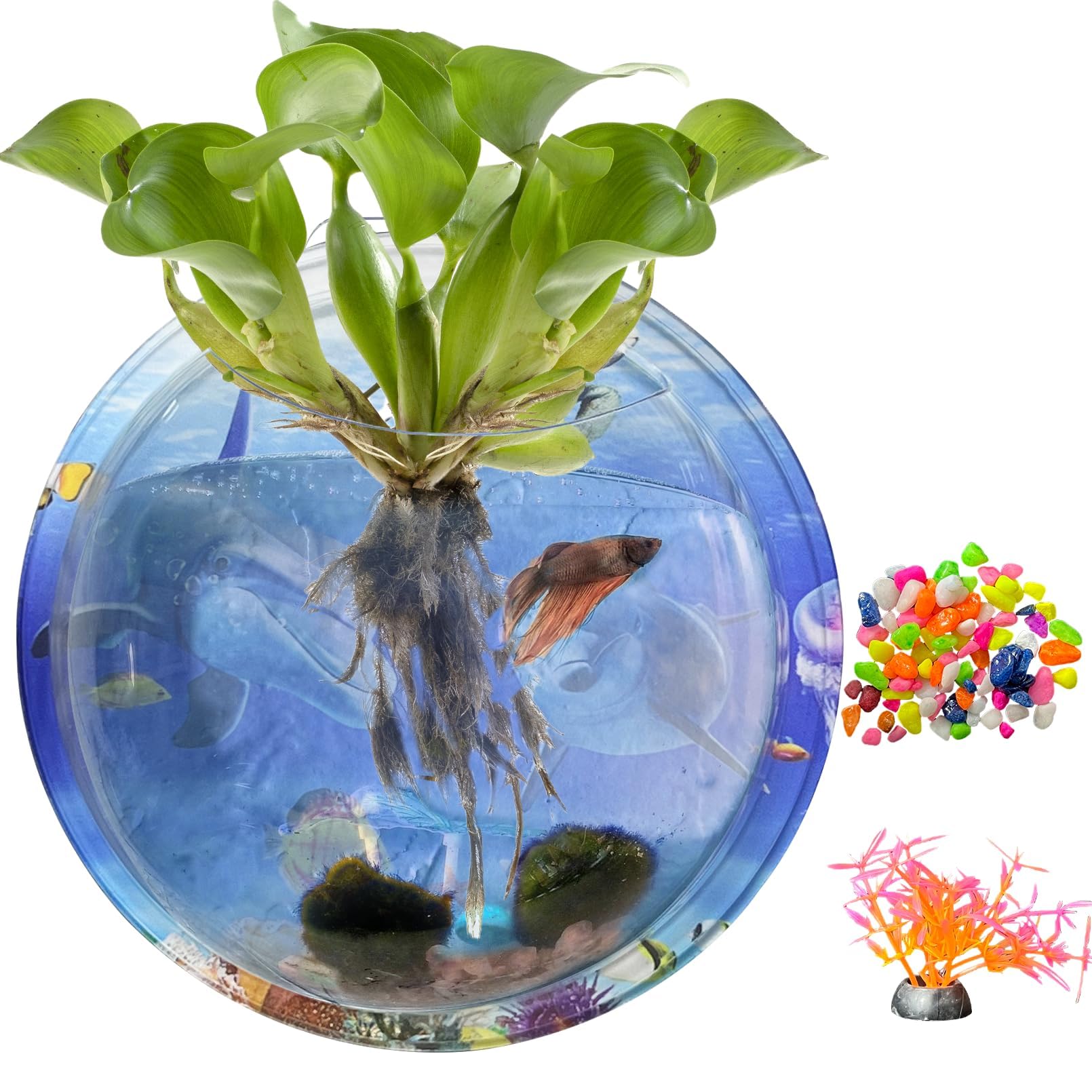 kathson Acrylic Wall Hanging Fish Bowl Wall Mounted Fish Tank Planter Fish Bubble Hanging Aquarium Hydroponic Plant Pot Betta Fi