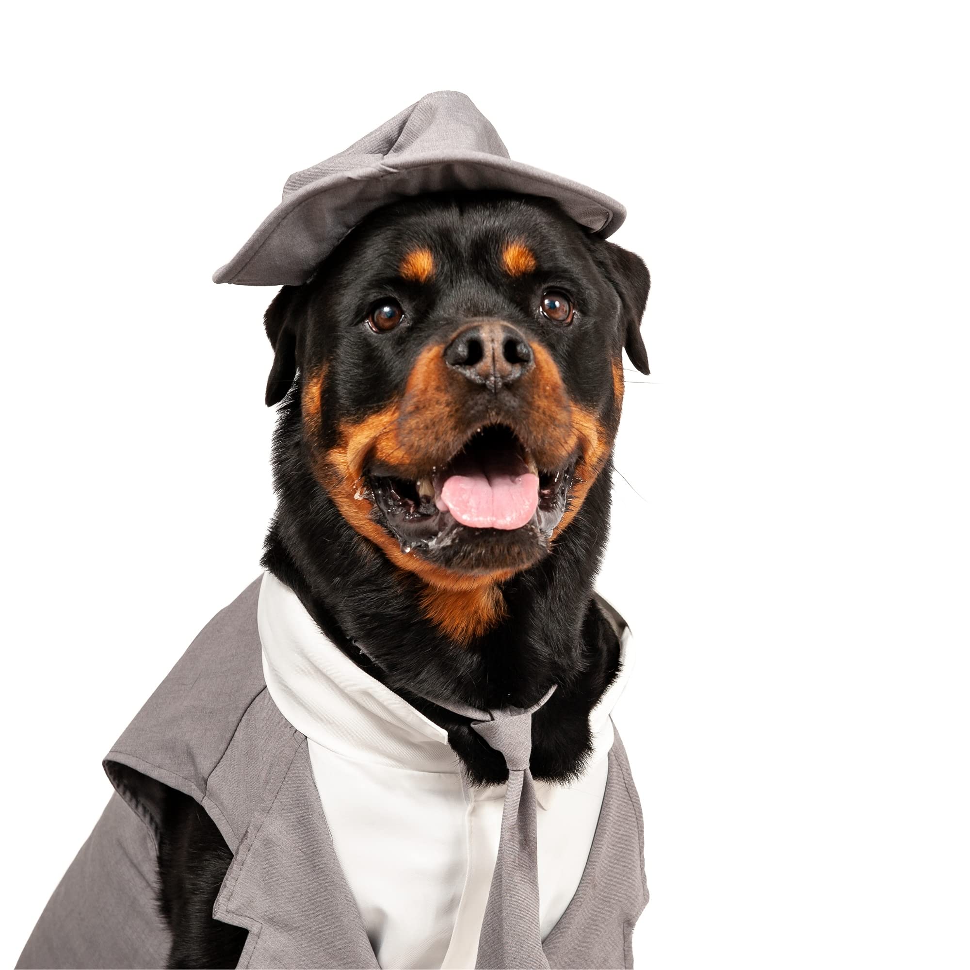 Midlee Dog Tuxedo Wedding Suit- Gray Top Hat & Leash (Xx-Large)