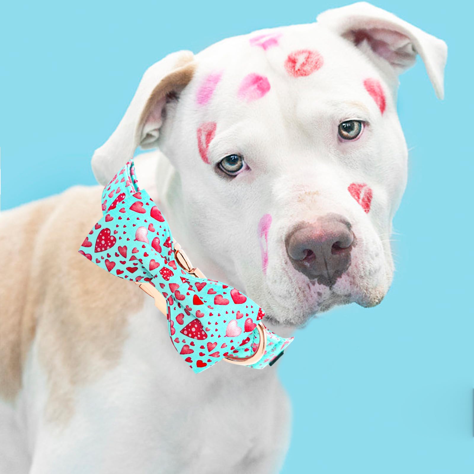 Elegant little tail Valentine's Dog Collar, Cute Pink Heart Dog Collar with Bow for Medium Dogs, Female or Male Adjustable Cotto