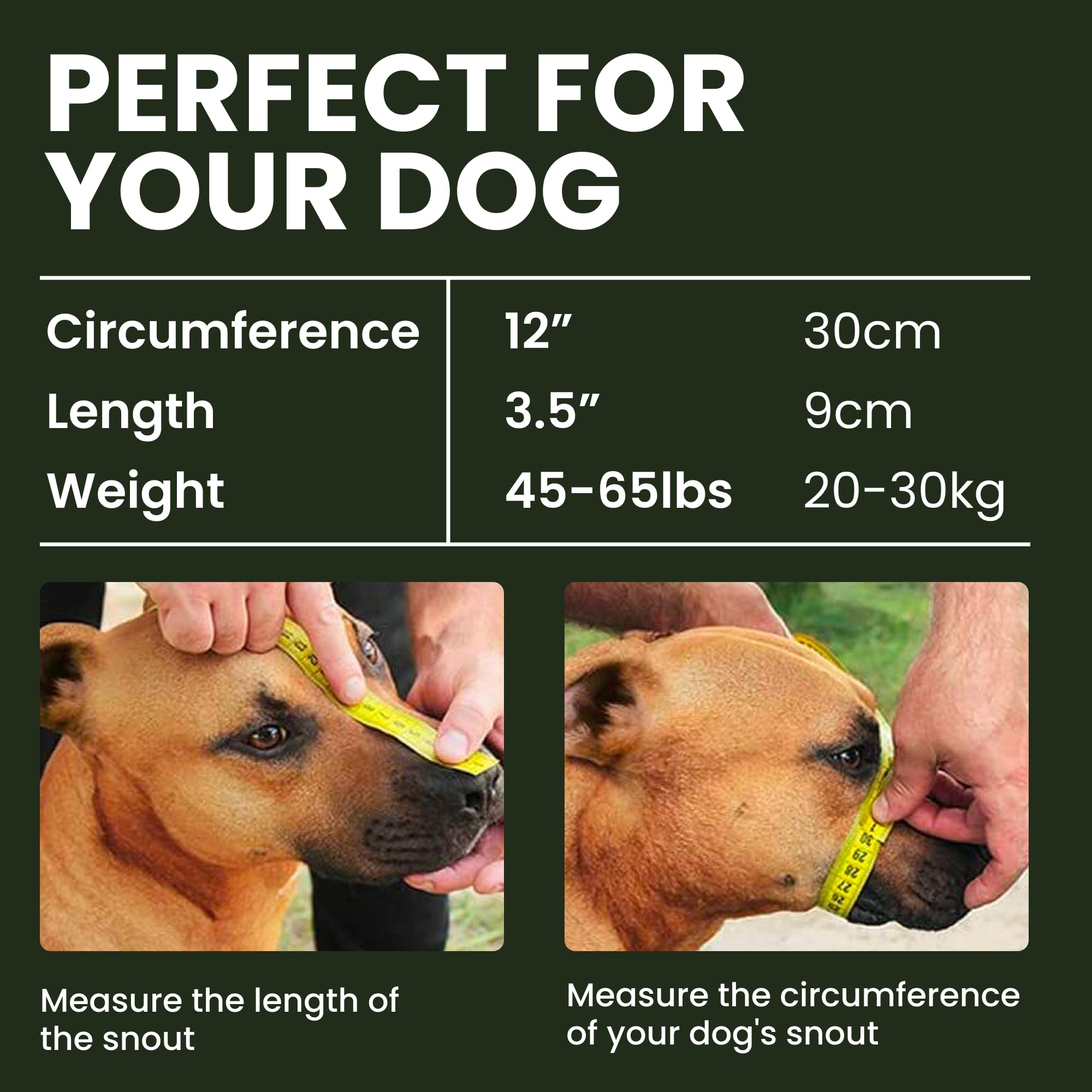 Bronzedog Pitbull Dog Muzzle Metal Mask Amstaff Wire Basket Pit Bull Adjustable Leather Straps For Large Dogs (Graphite Metal)