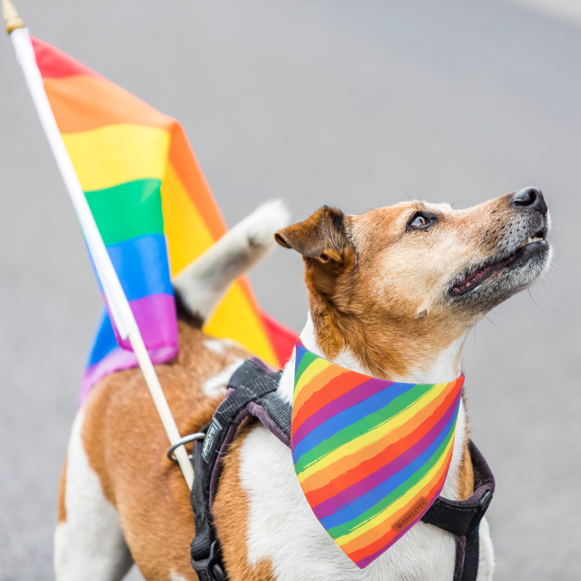 Adoggygo Rainbow Dog Bandana, Holiday Puppy Scarf, Adjustable Fit Colorful Rainbow Bandanas For Small Dogs Puppies (Small)