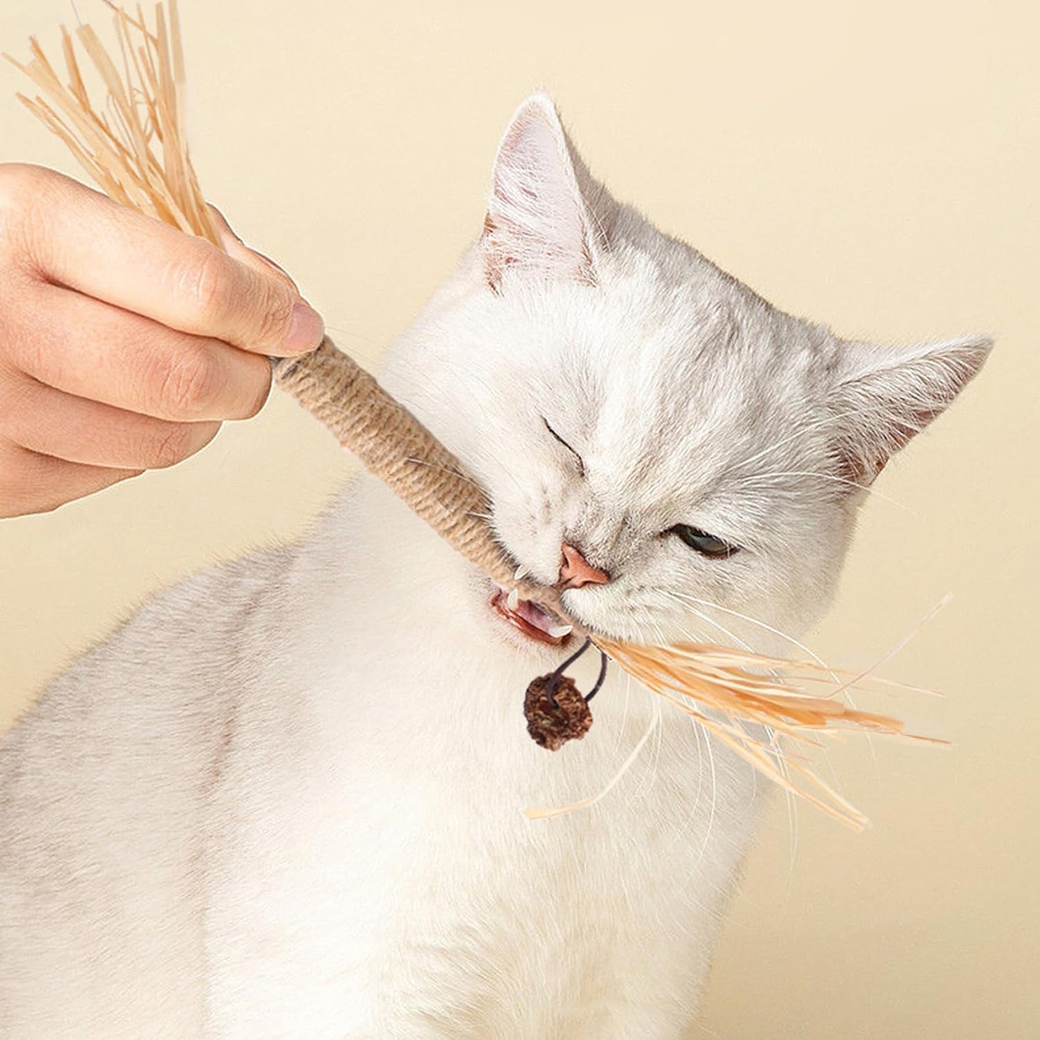 LOVELY CAVES Cat Silvervine Sticks Chew Toys, Natural Chew Stick Toy, Catnip Toys Teeth Cleaning, Matatabi Cat Treat, Edible Kit