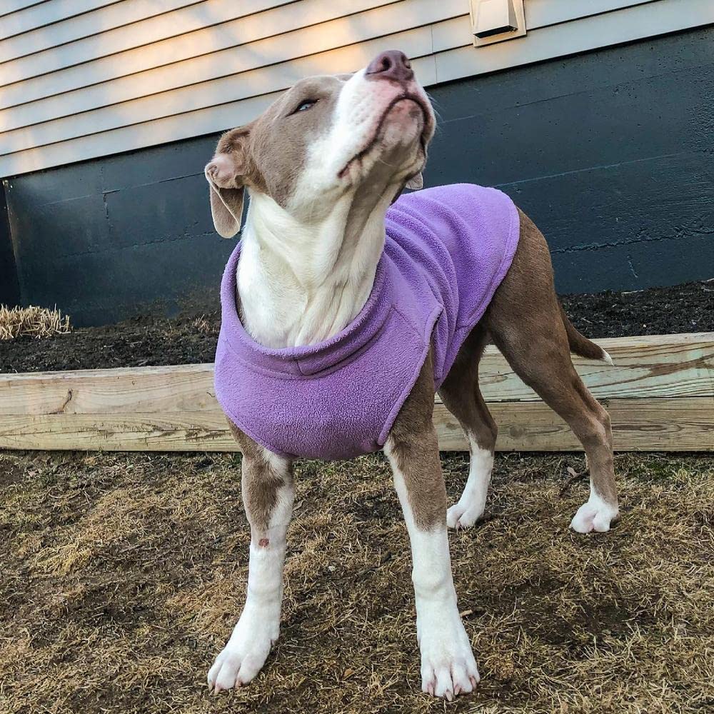 Gooby Stretch Fleece Vest Dog Sweater - Warm Pullover Fleece Dog Jacket - Winter Dog Clothes For Small Dogs, Large Dogs, Boy Or Girl - Soft, Super Stretchy Fleece Vest Dog Sweater - Lavender, Medium