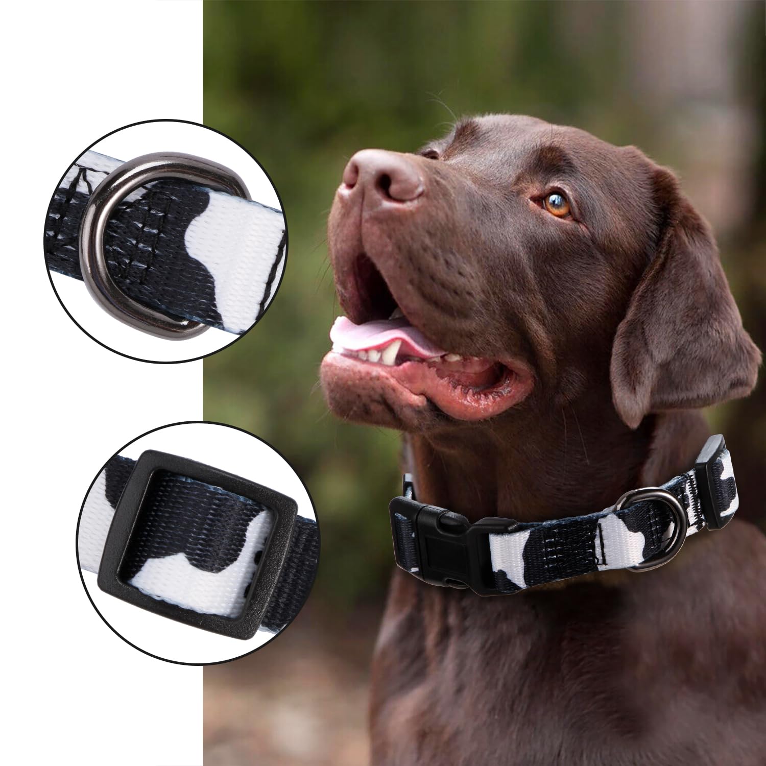 Rhea Rose Cow Print Dog Collar Animal Pattern For Dogs White Black, Small