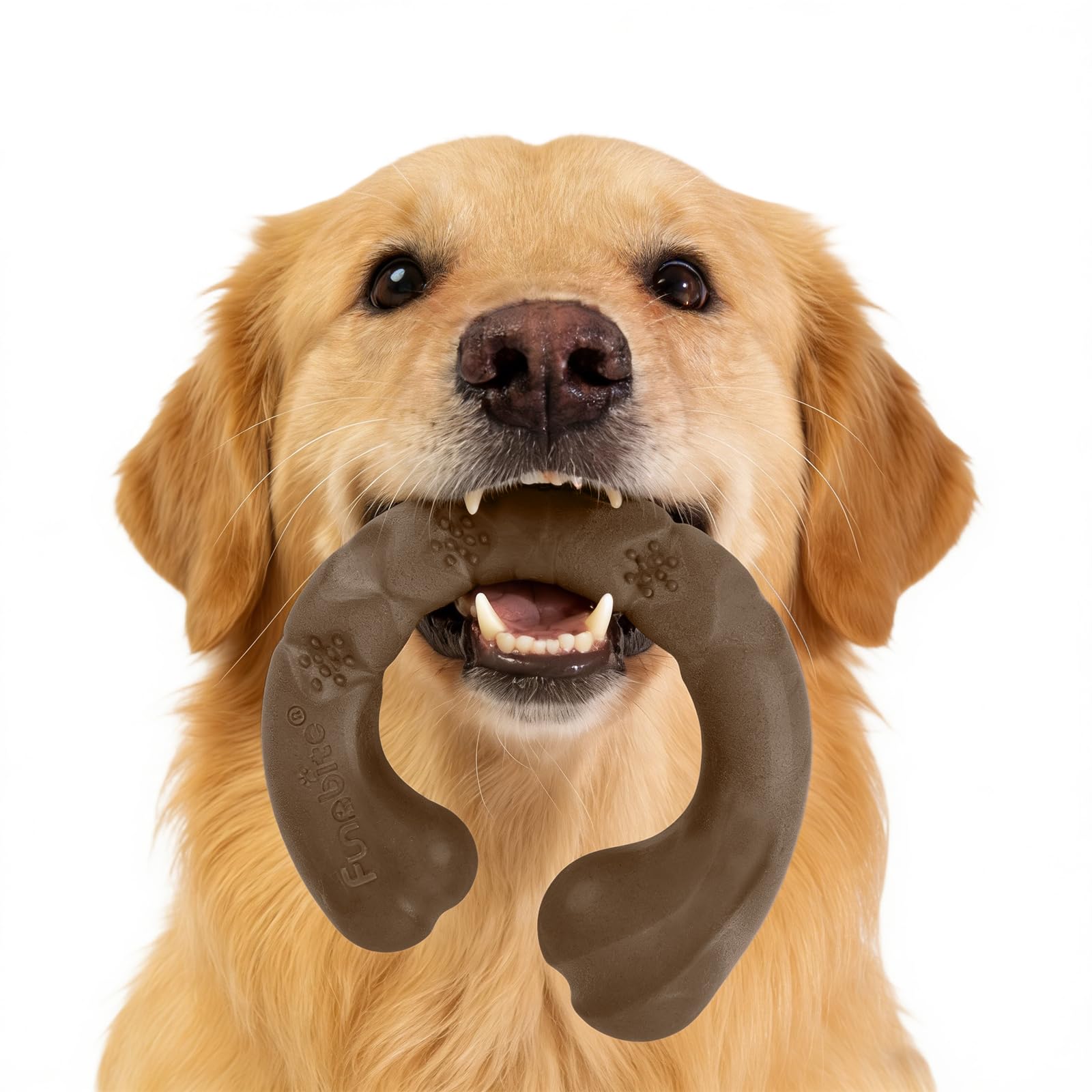 Funnbite Tough Dog Toys for Aggressive Chewers, Bacon Scented & Curved Nylon Bone to Keep Them Busy, Durable Chew Toy for Medium