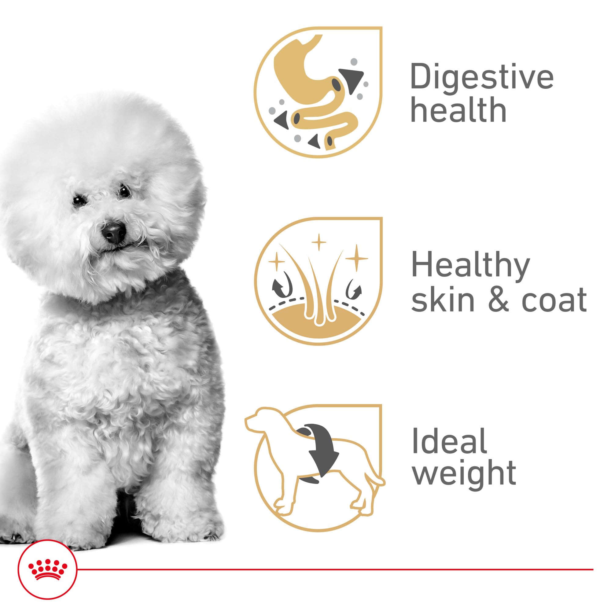 Royal Canin Bichon Frise Adult Dry Dog Food, 10 lb bag