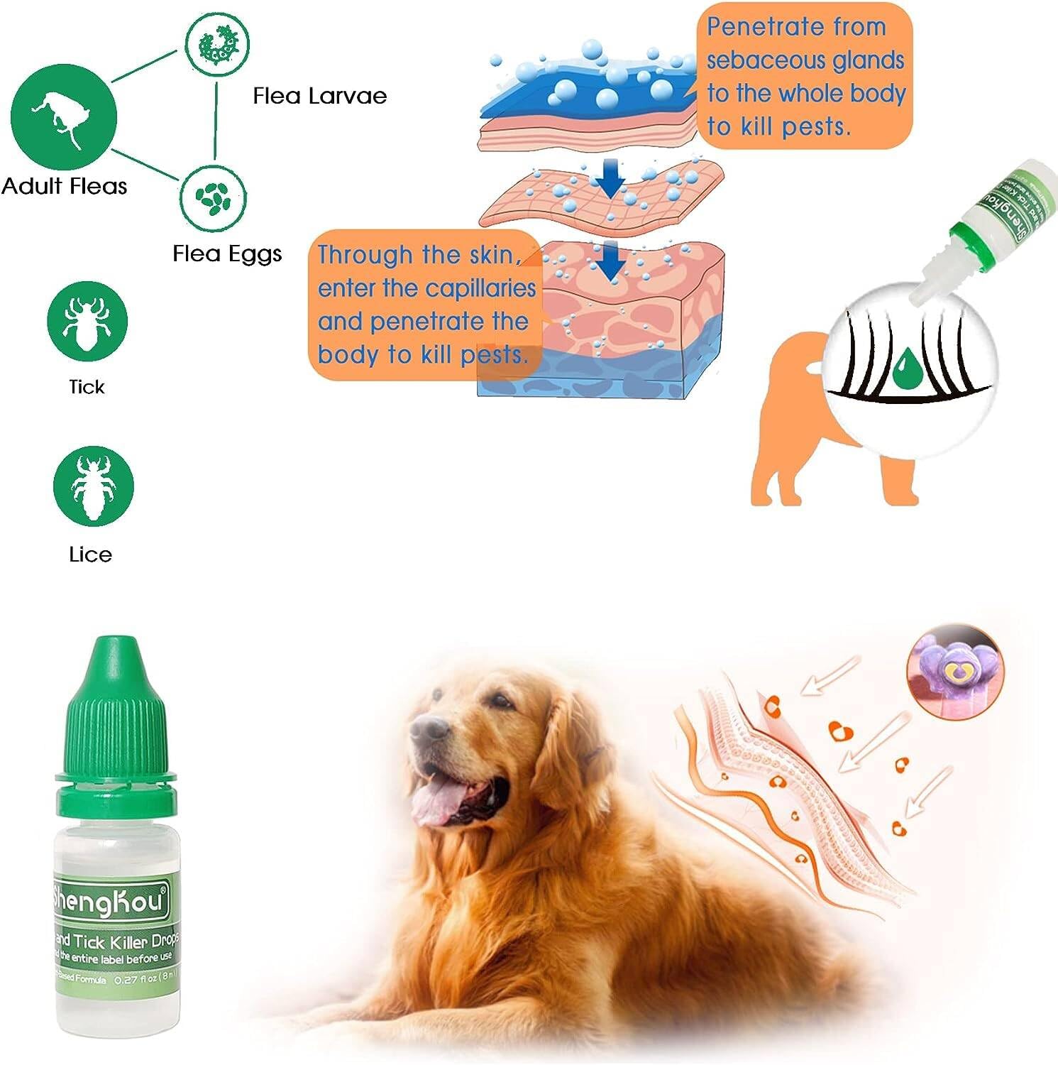 ShengKou Flea & Tick Treatment for Large Dogs (45-88 lbs) | 6-Month Protection, Vet-Reviewed Formula, Free Tools Included