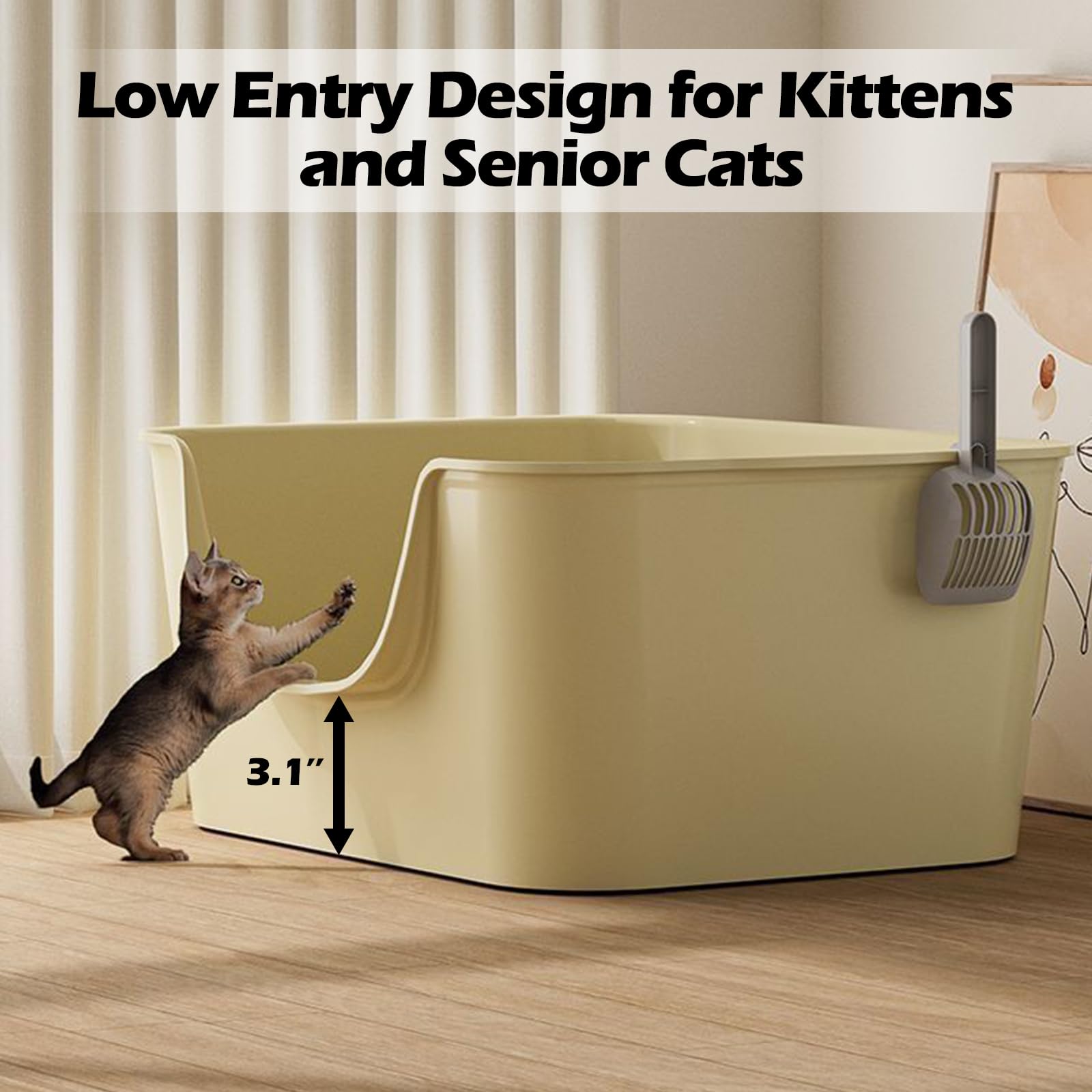 LoopTime Small Cat Litter Box with High Sides,Cat Boxes for Indoor Cats,Cat Litter Pan for Kitty,Litter Box with Low Entry,Easy