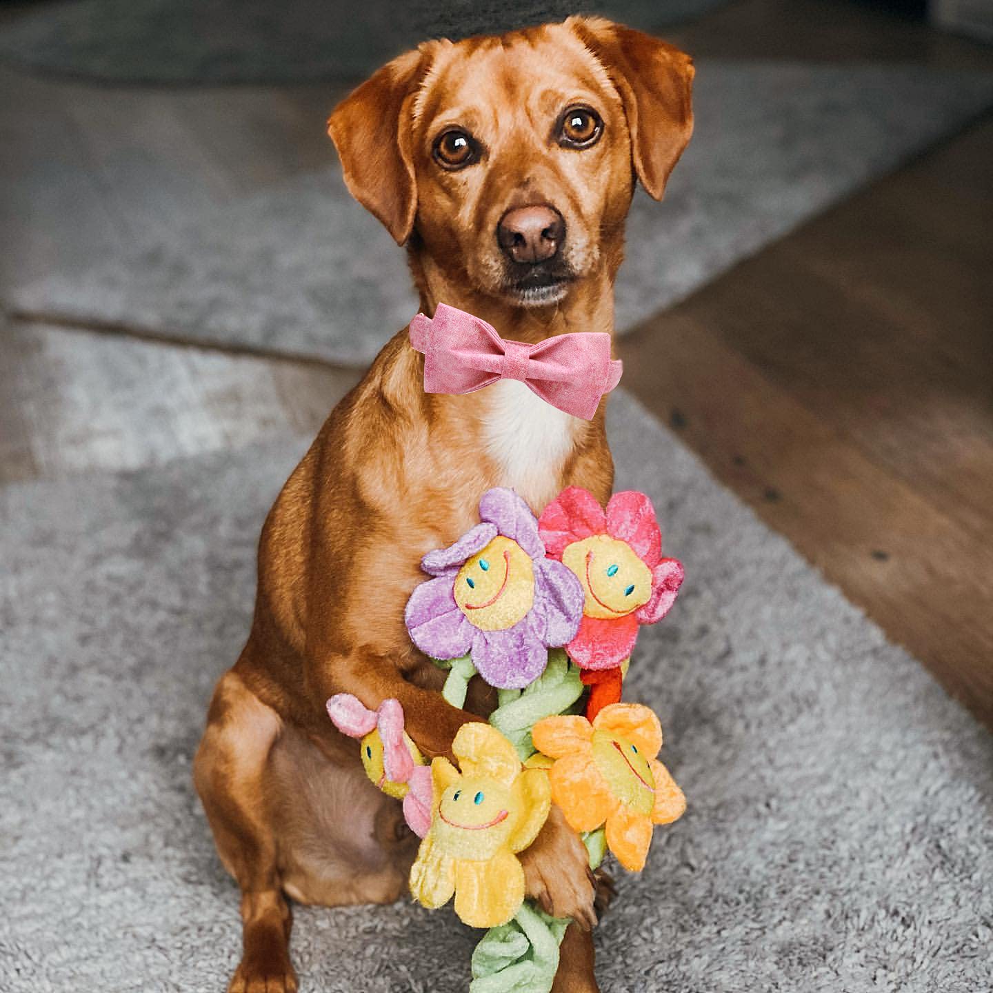 Elegant Little Tail Pink Colorful Dog Collar, Comfortable Dog Collar With Bow Adjustable Soft Bow Tie Dog Collars For Large Dogs