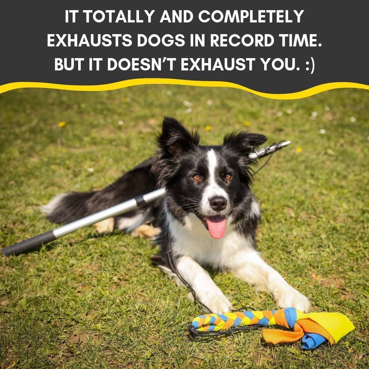 Yes4Quality Flirt Pole For Dogs - Safe & Strong For Large Breeds W/Non-Bungee Cord - Spring Pole For Tug Of War, Interactive Play & Puppy Training - Heavy-Duty Teaser Wand For Outdoor Exercise