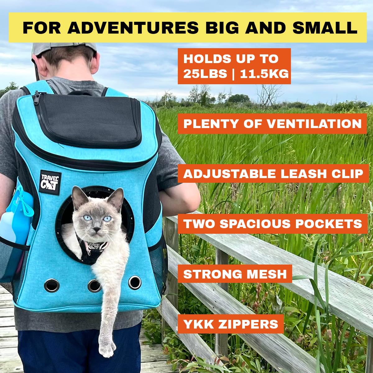 Fat Cat Backpack Carrier - Airline Approved Cat Carrier With Space Capsule Bubble For For Small Cats, Kitten - Premium Aqua Cat