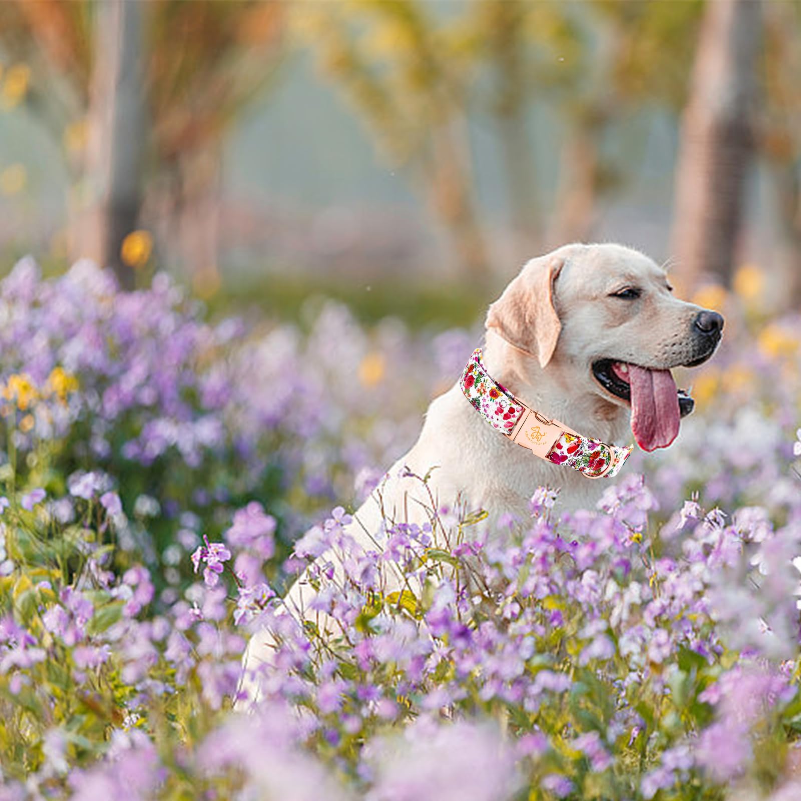 Elegant Pink Floral Print Summer Dog Collar - Cotton, Durable, Metal Buckle For Medium Dogs