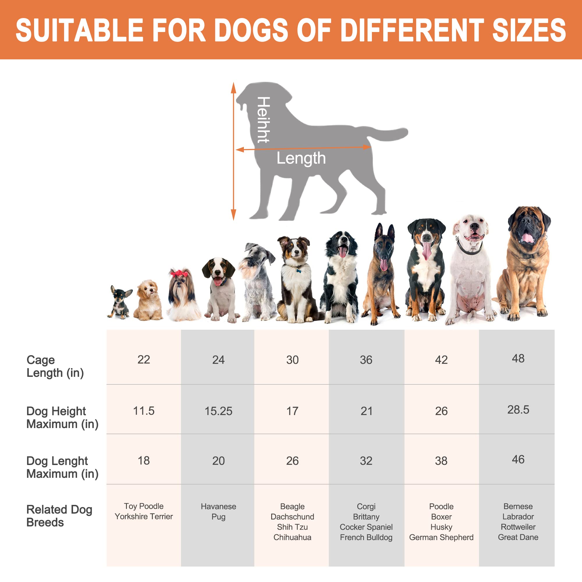 Pet Republic Dog Crates For Large Dogs Folding Metal Wire Dog Gage Double Door 30/36/42Inches Dog Kennel Indoor Outdoor Pet Grates