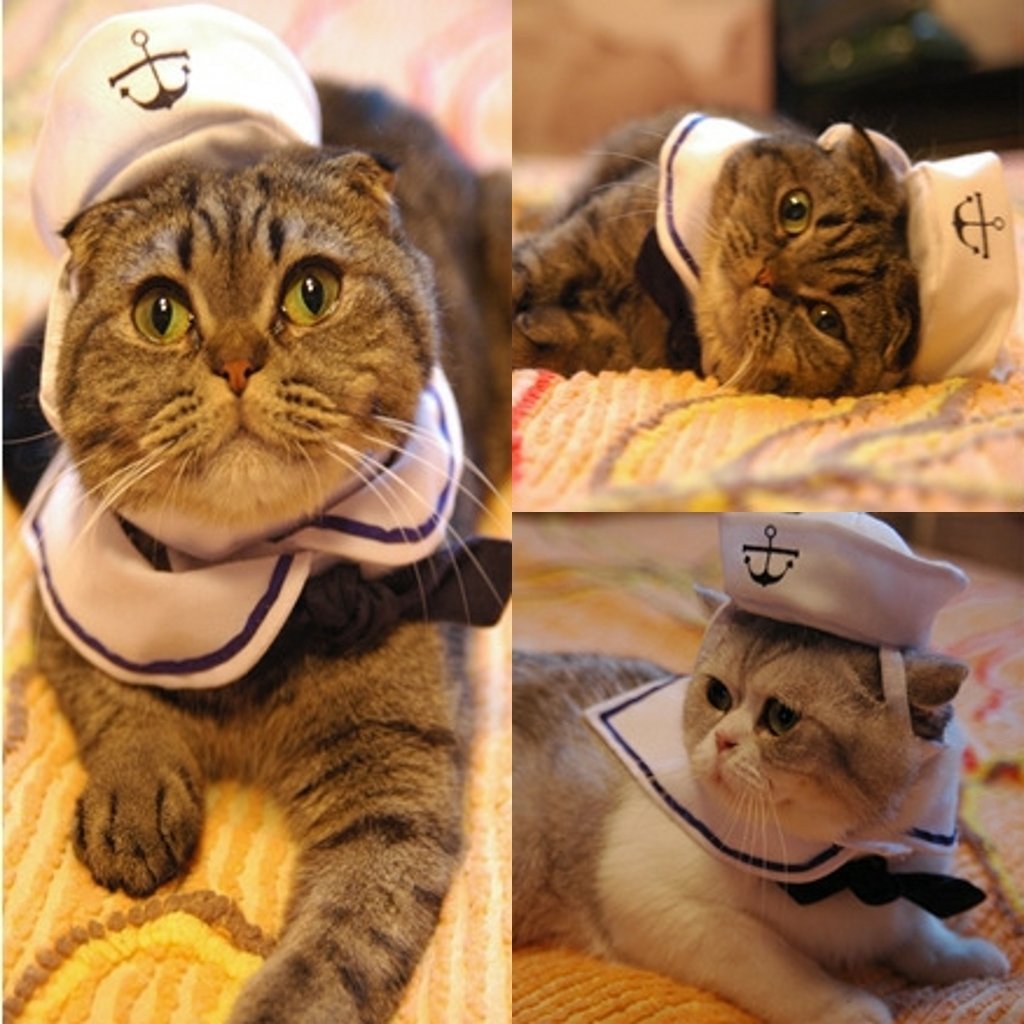 Dogs Kingdom Cat Dog Sailor Costume Hat Navy Tie Pet Sailor Costume Set White One Size