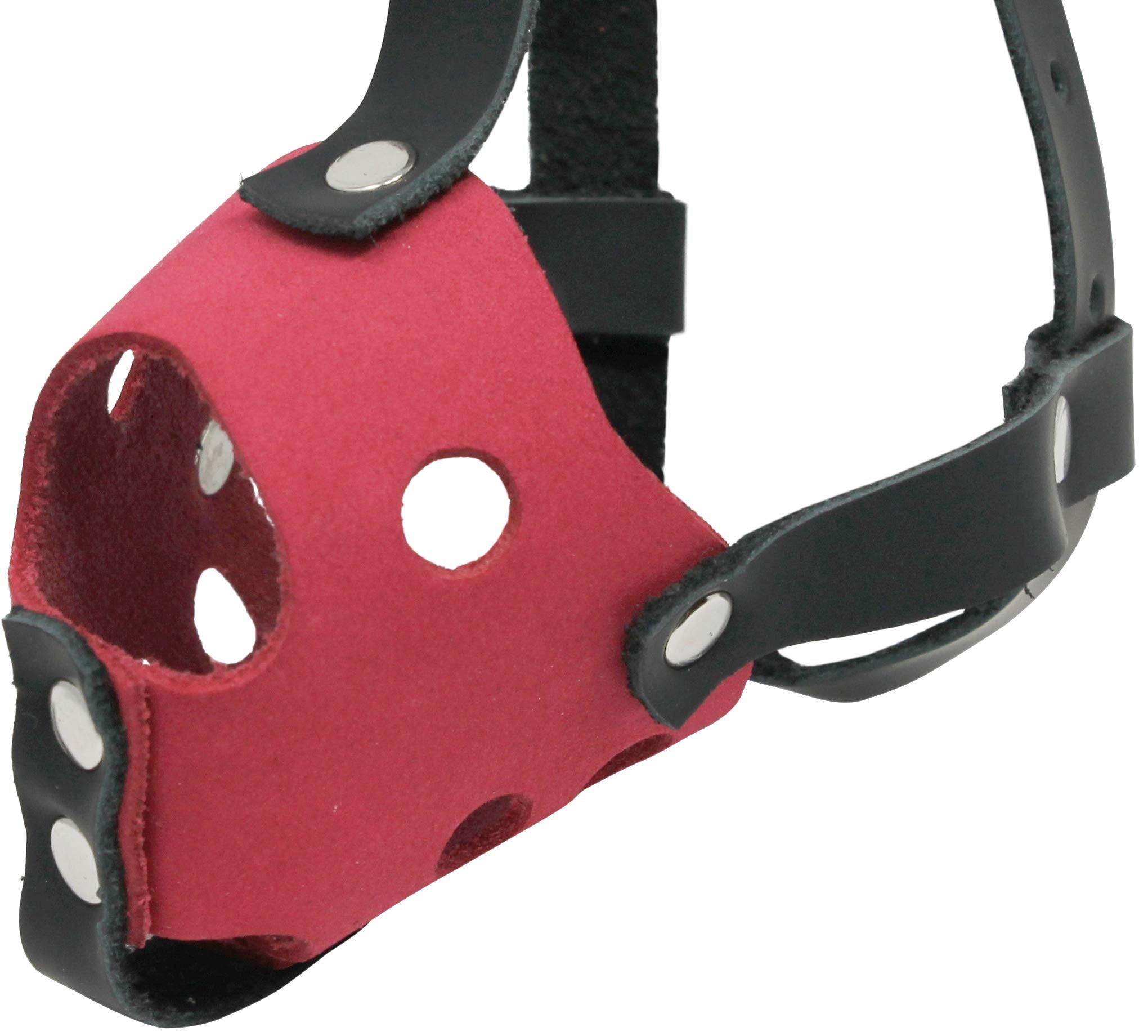 Soft Genuine Leather Dog Cage Basket Muzzle Two-Tone For Xxsmall Xsmall Breeds And Puppies (Snout Circumf 4.5'; Snout Length 1.25')