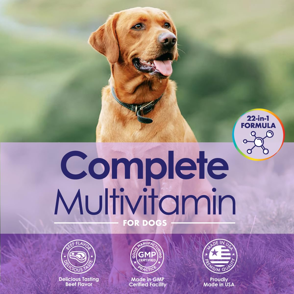 Dog Multivitamin Supplement, 22-in-1 Support for Immune System, Skin, Coat, Joints & Overall Health, Vitamins A, B, C, D, E, K,