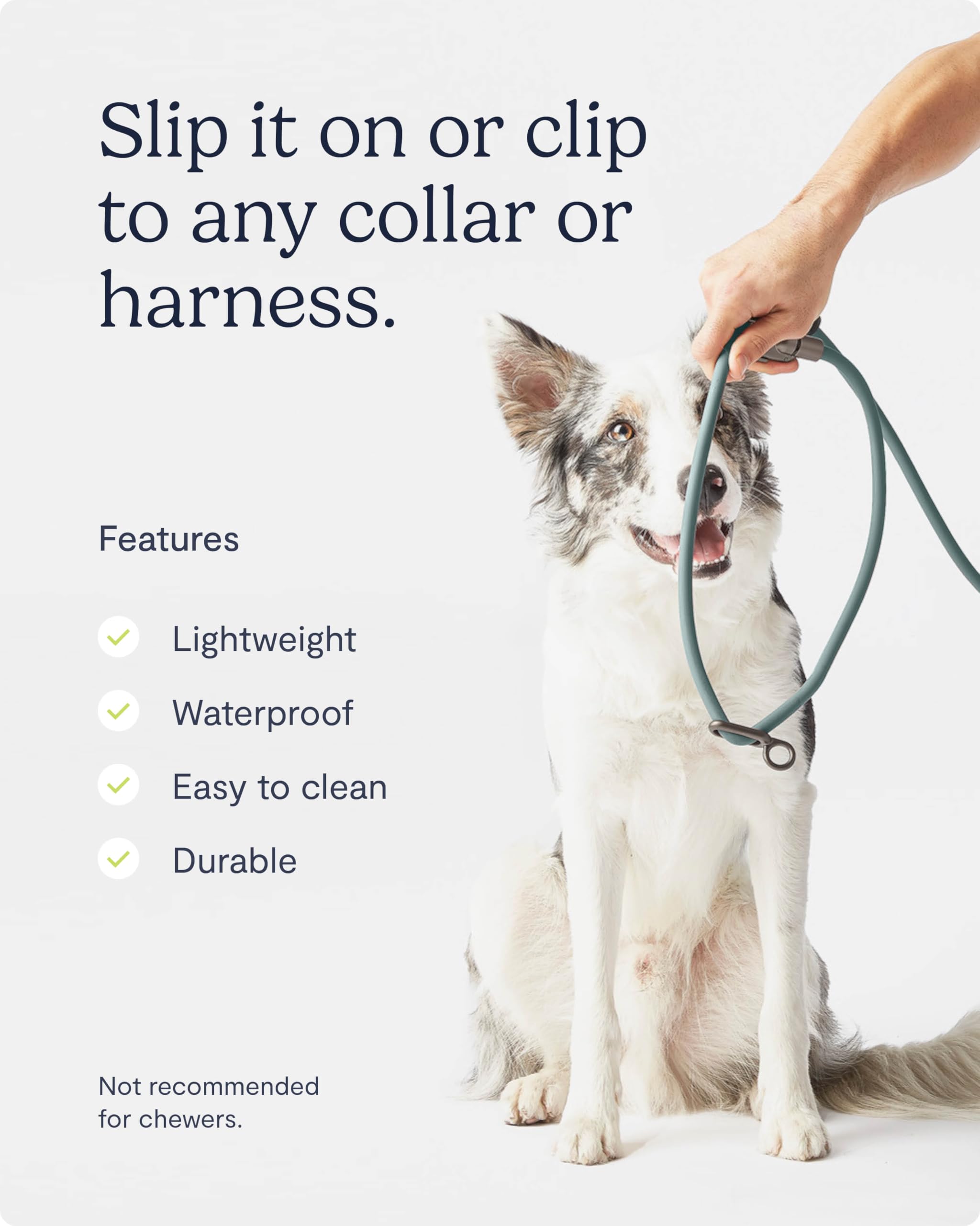 Fable Magic Link Dog Leash - All-In-One Collar And Leash - Hands-Free Dog Walking - Wear It As A Belt, Crossbody, Or Wrist Strap